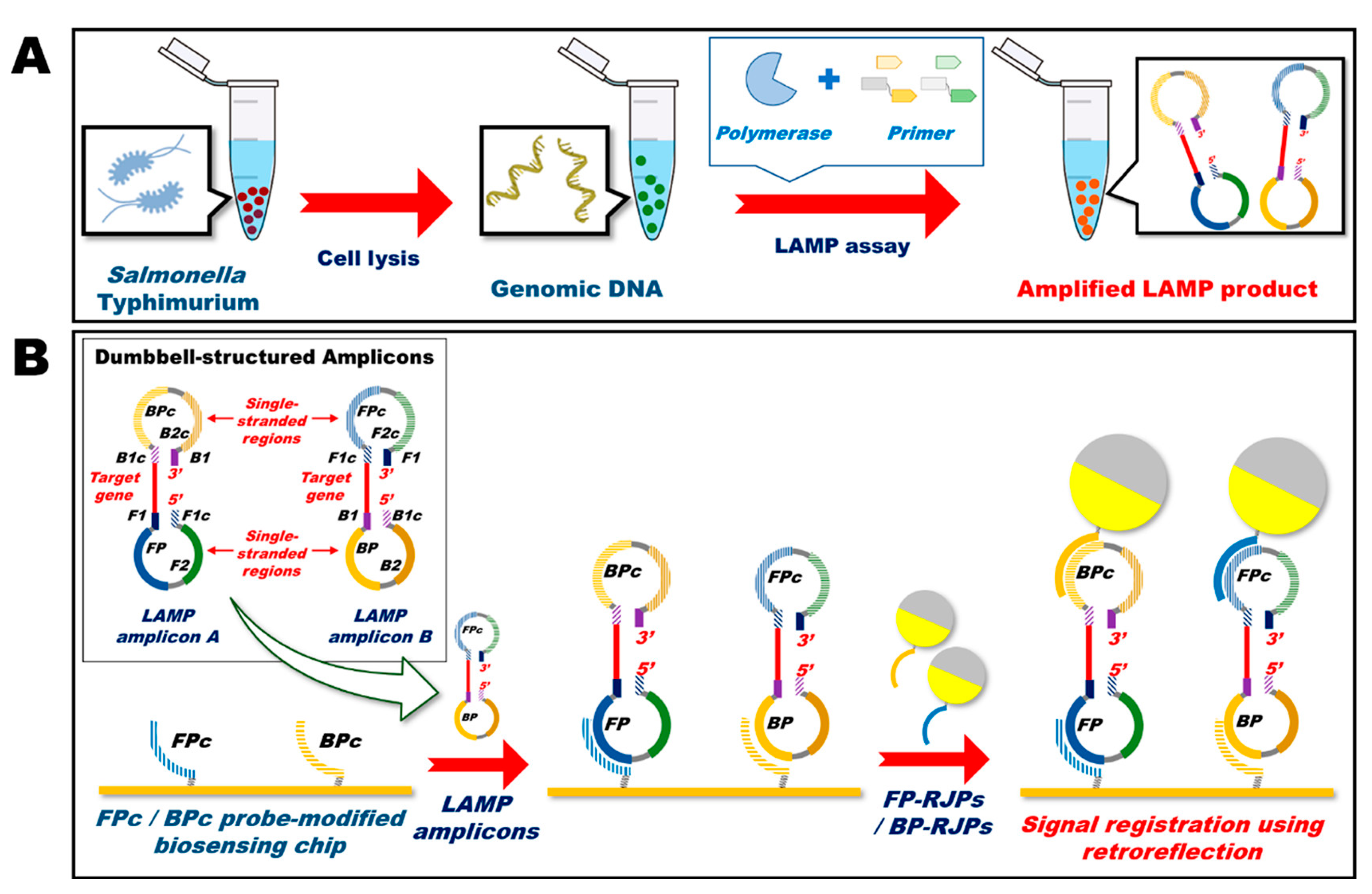 Pharmaceutics 15 00423 g013 Pharmaceutics 15 00423 g013
