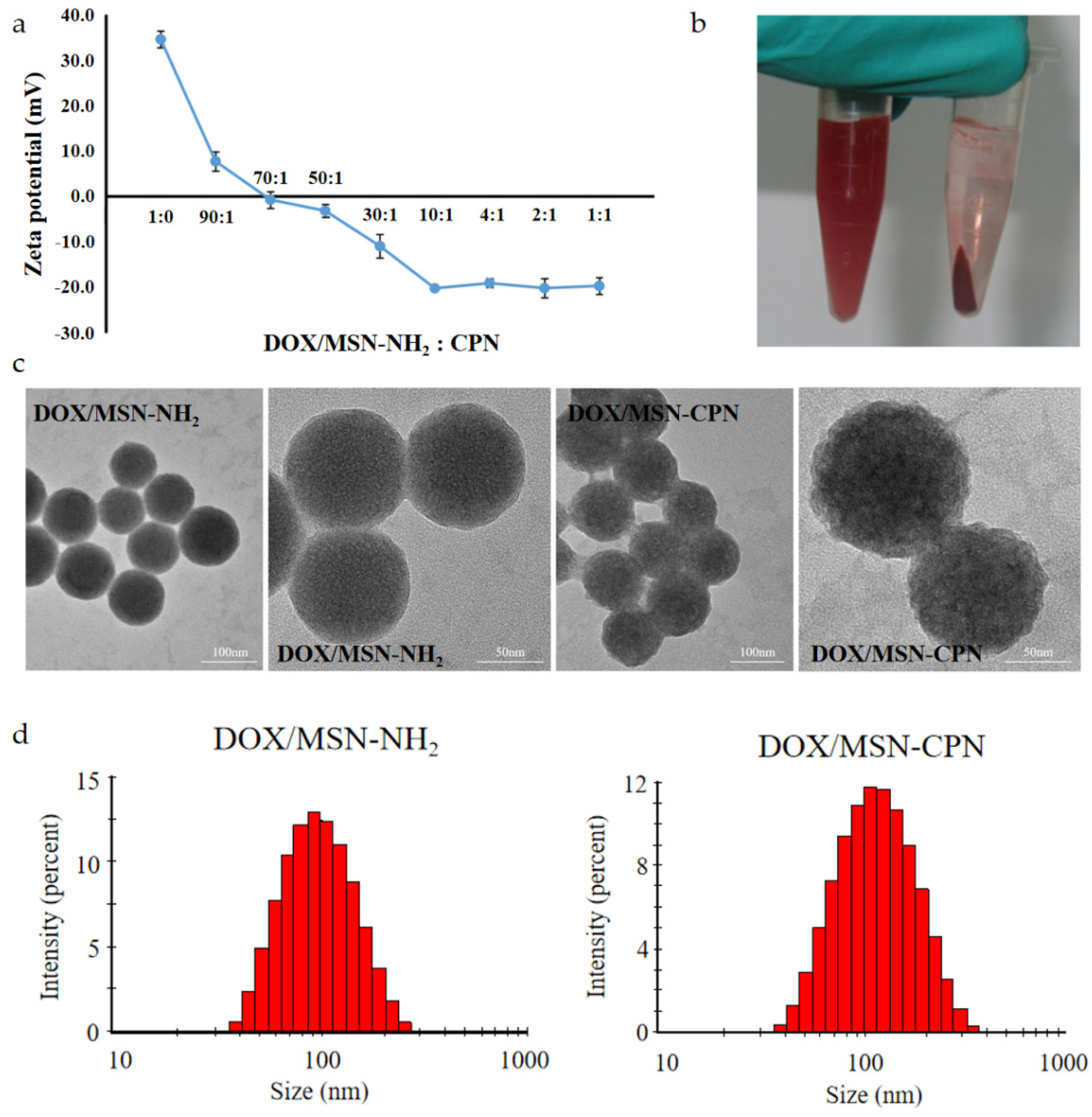 Pharmaceutics 15 00426 g002