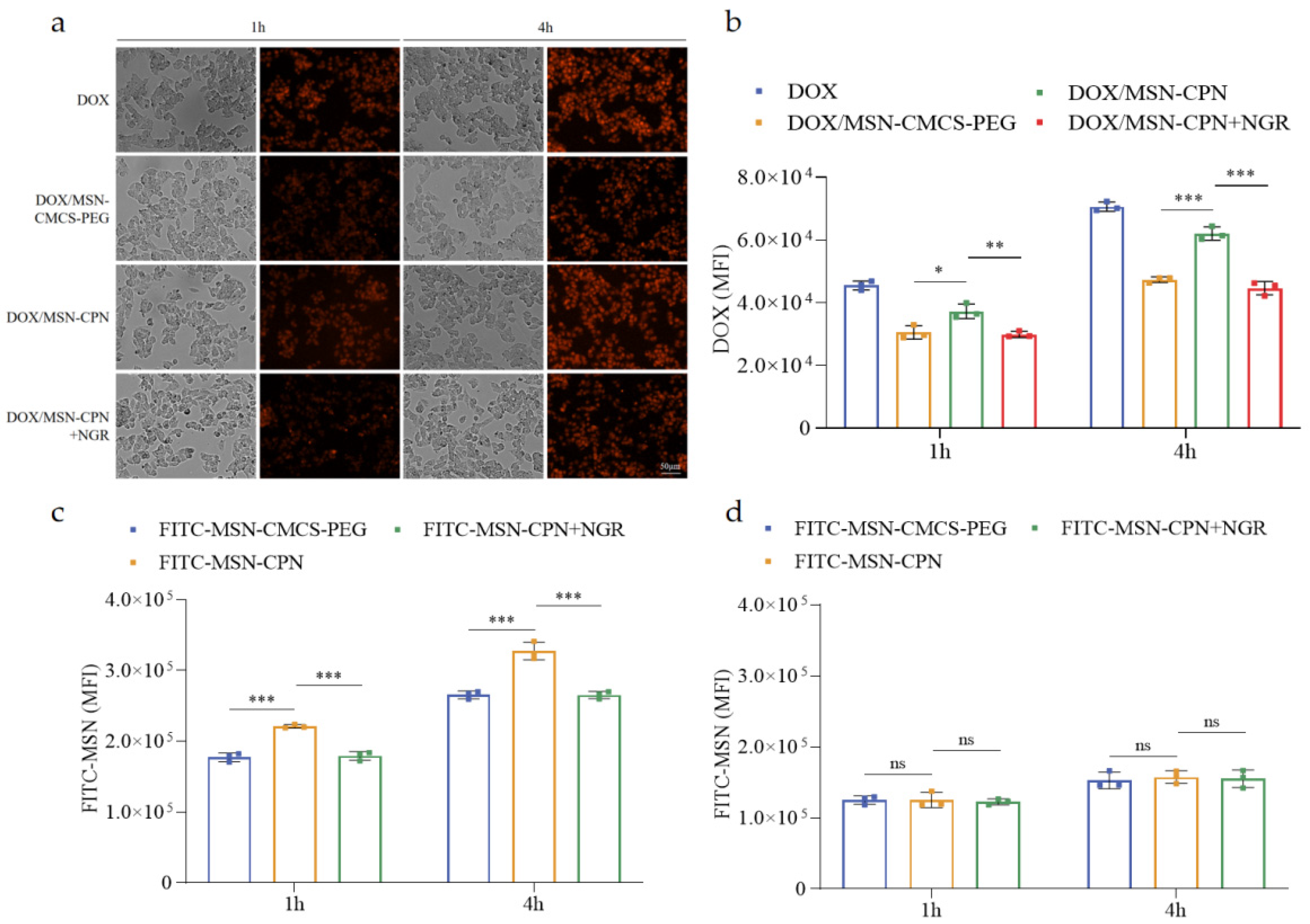 Pharmaceutics 15 00426 g005
