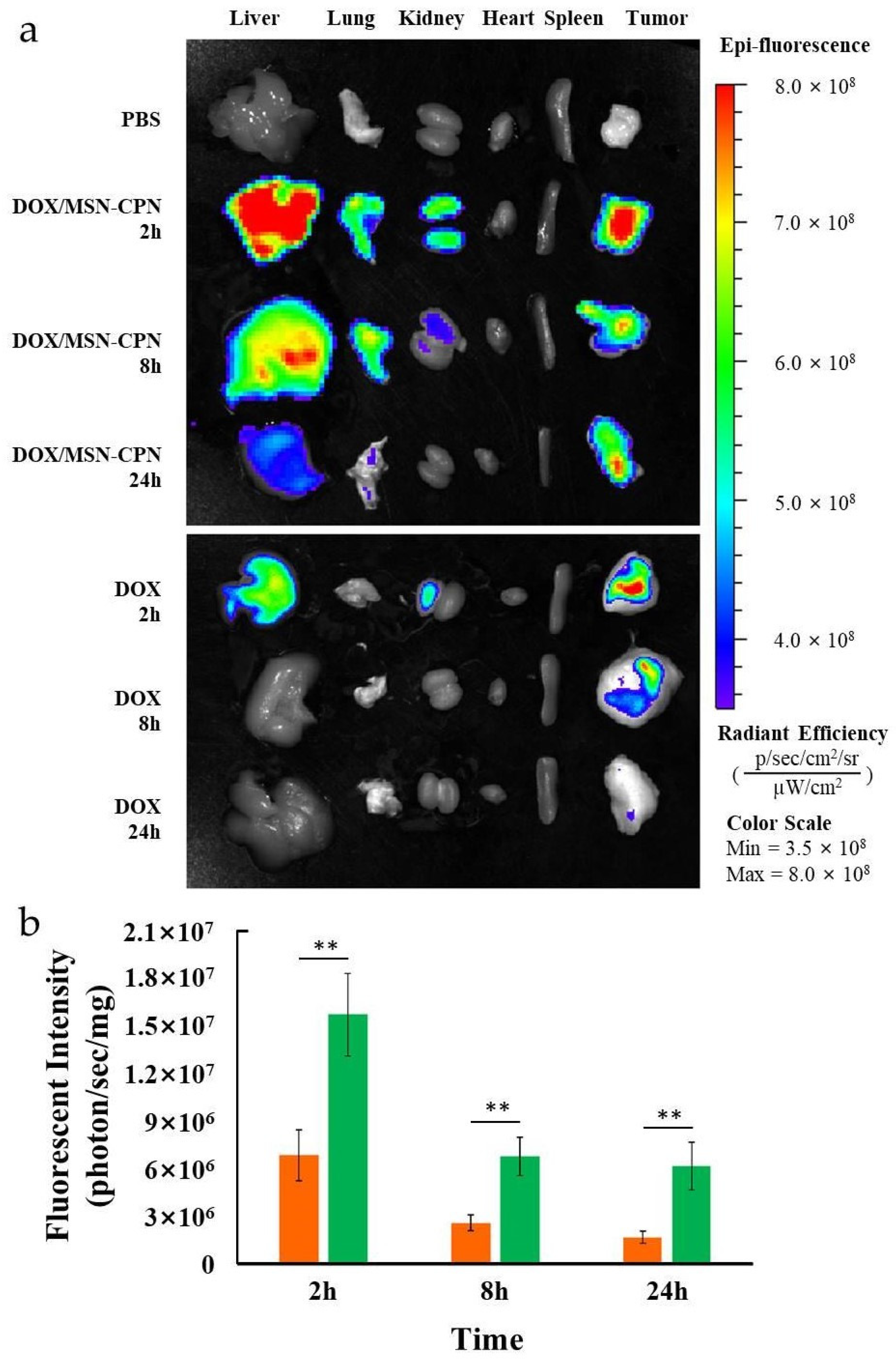 Pharmaceutics 15 00426 g006