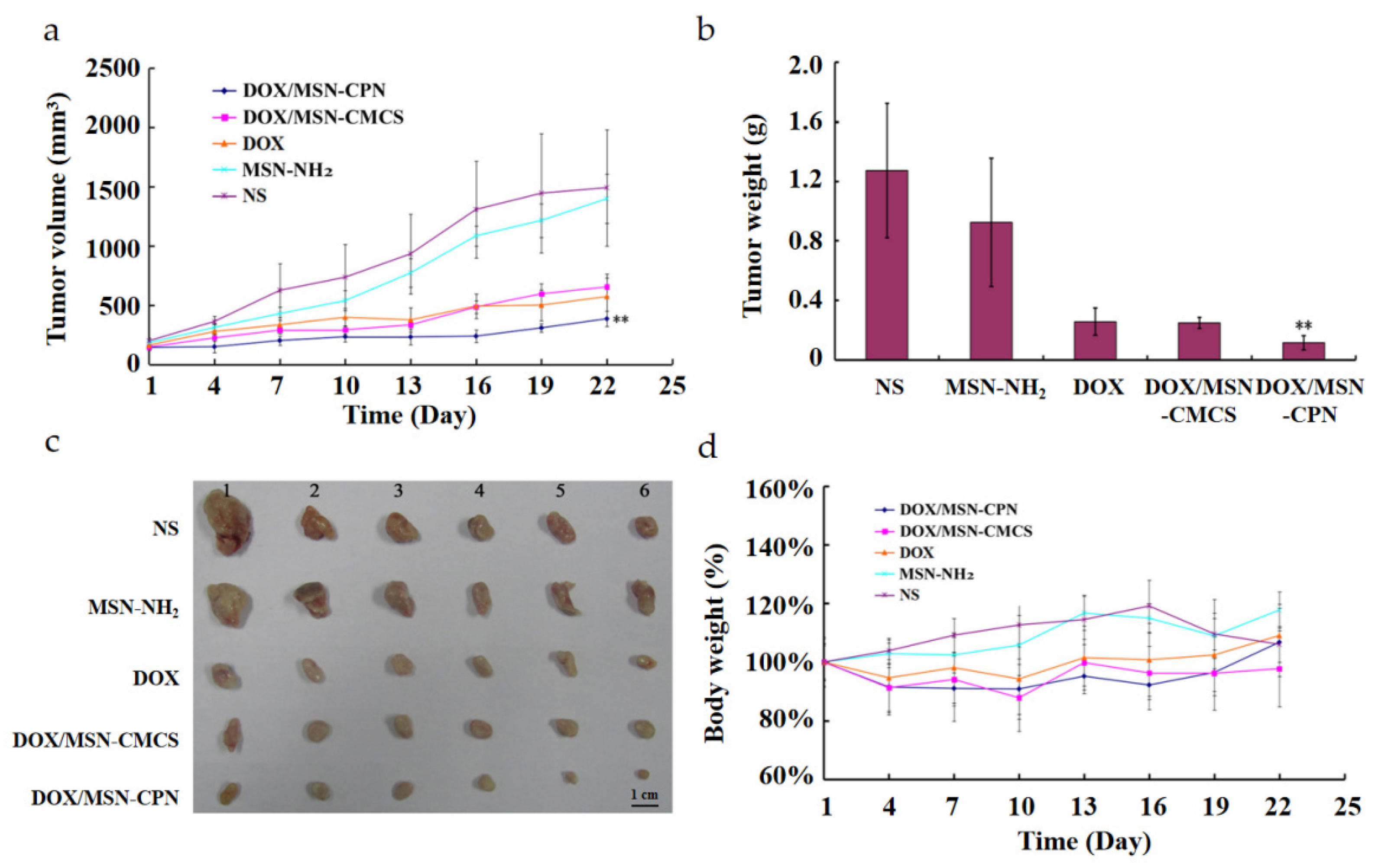 Pharmaceutics 15 00426 g007