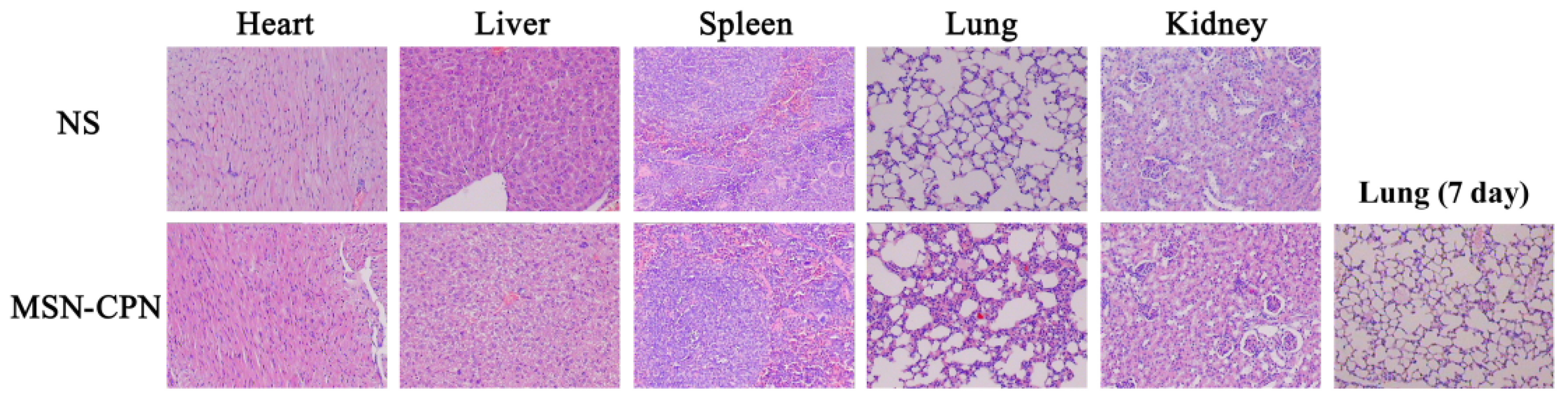 Pharmaceutics 15 00426 g008