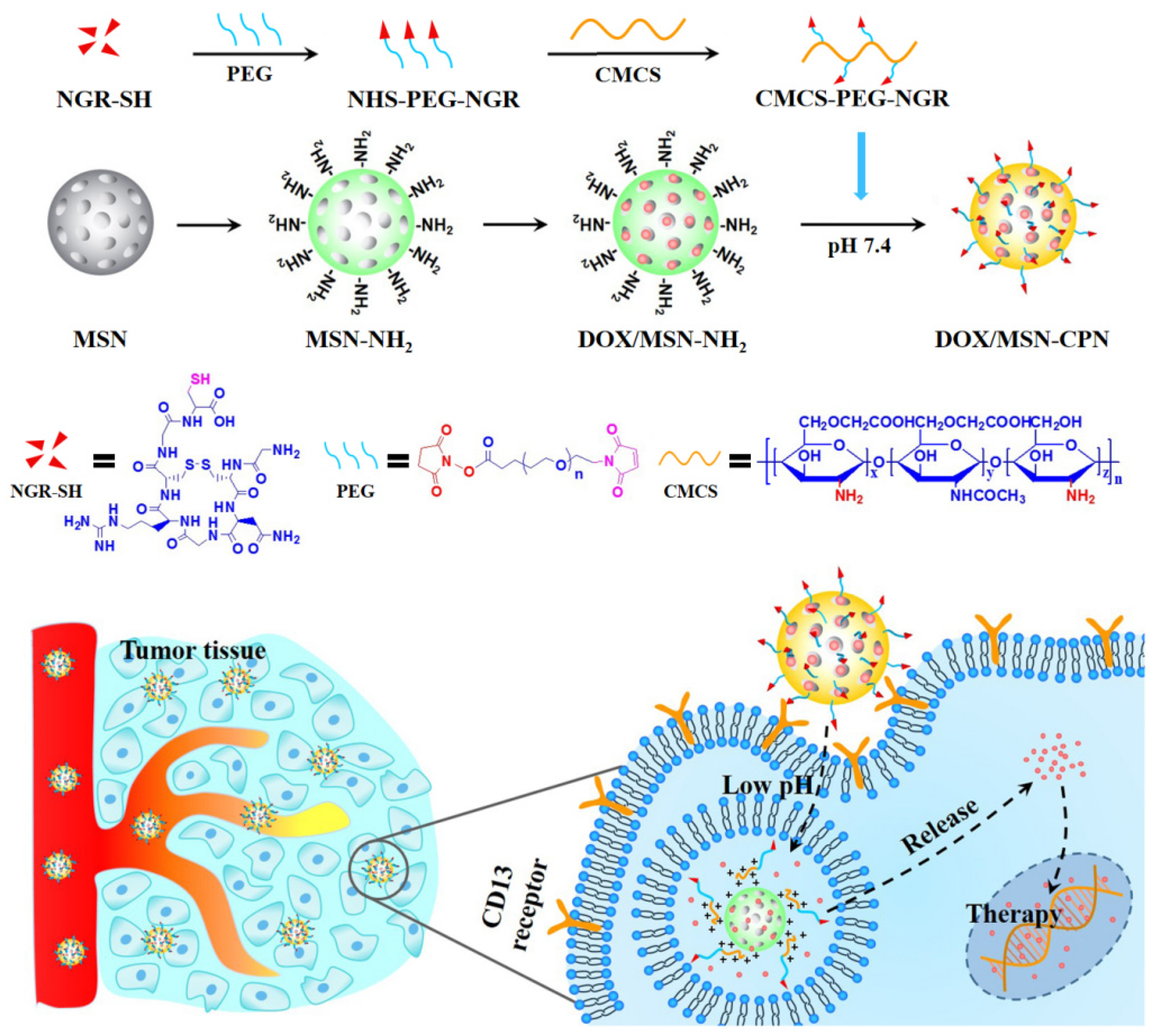Pharmaceutics 15 00426 sch001