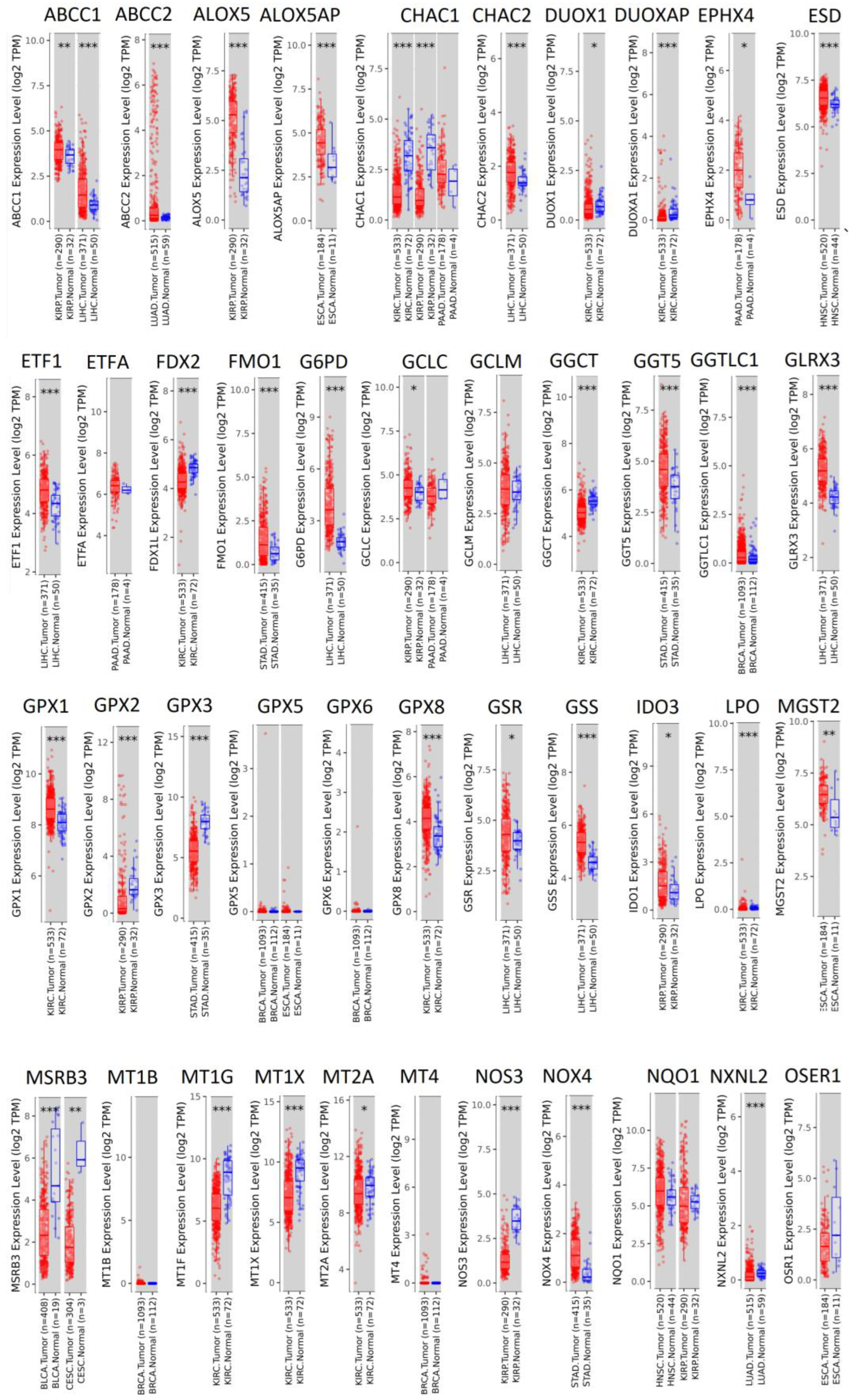 Pharmaceutics 15 00427 g004a