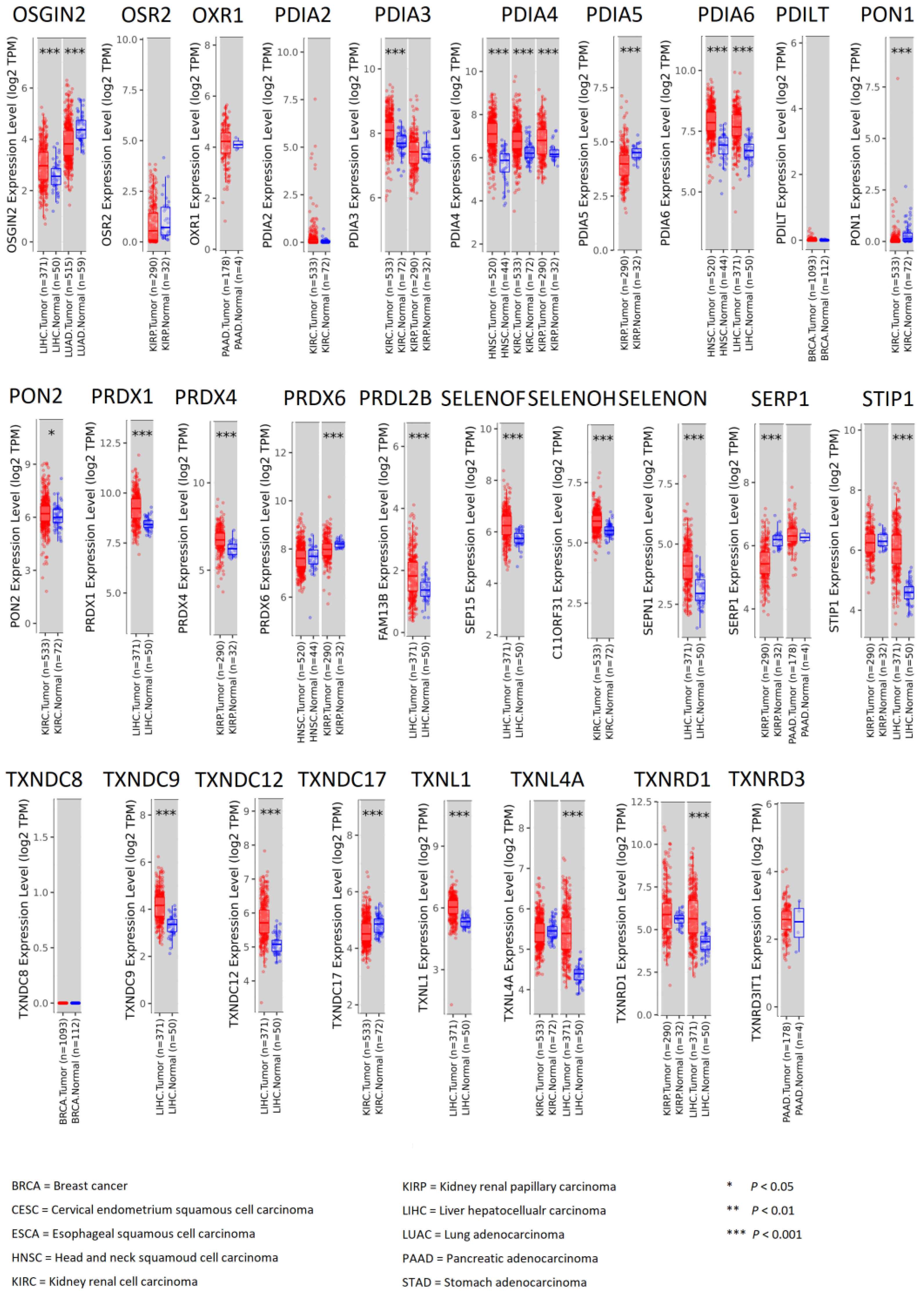 Pharmaceutics 15 00427 g004b