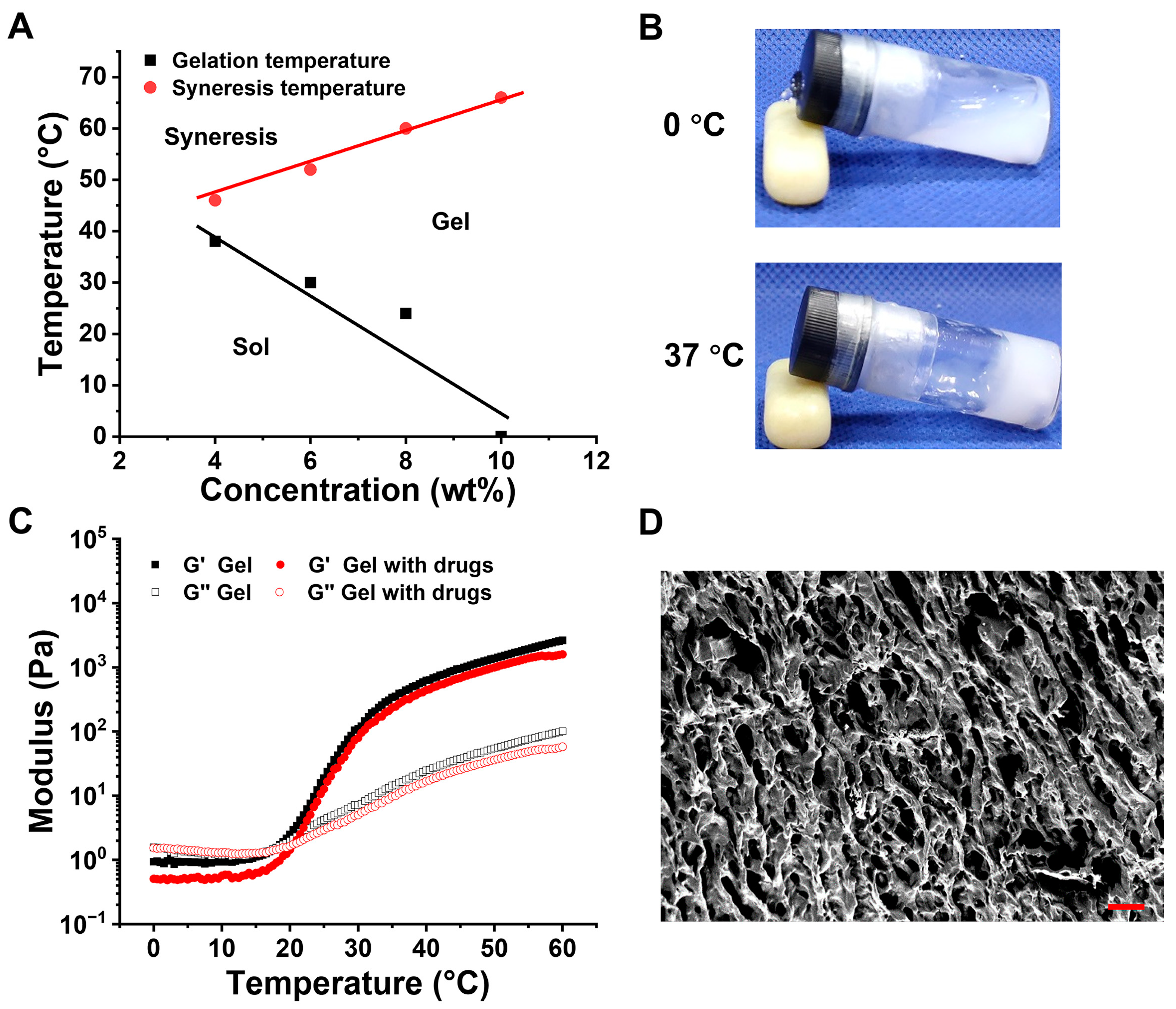 Pharmaceutics 15 00428 g001