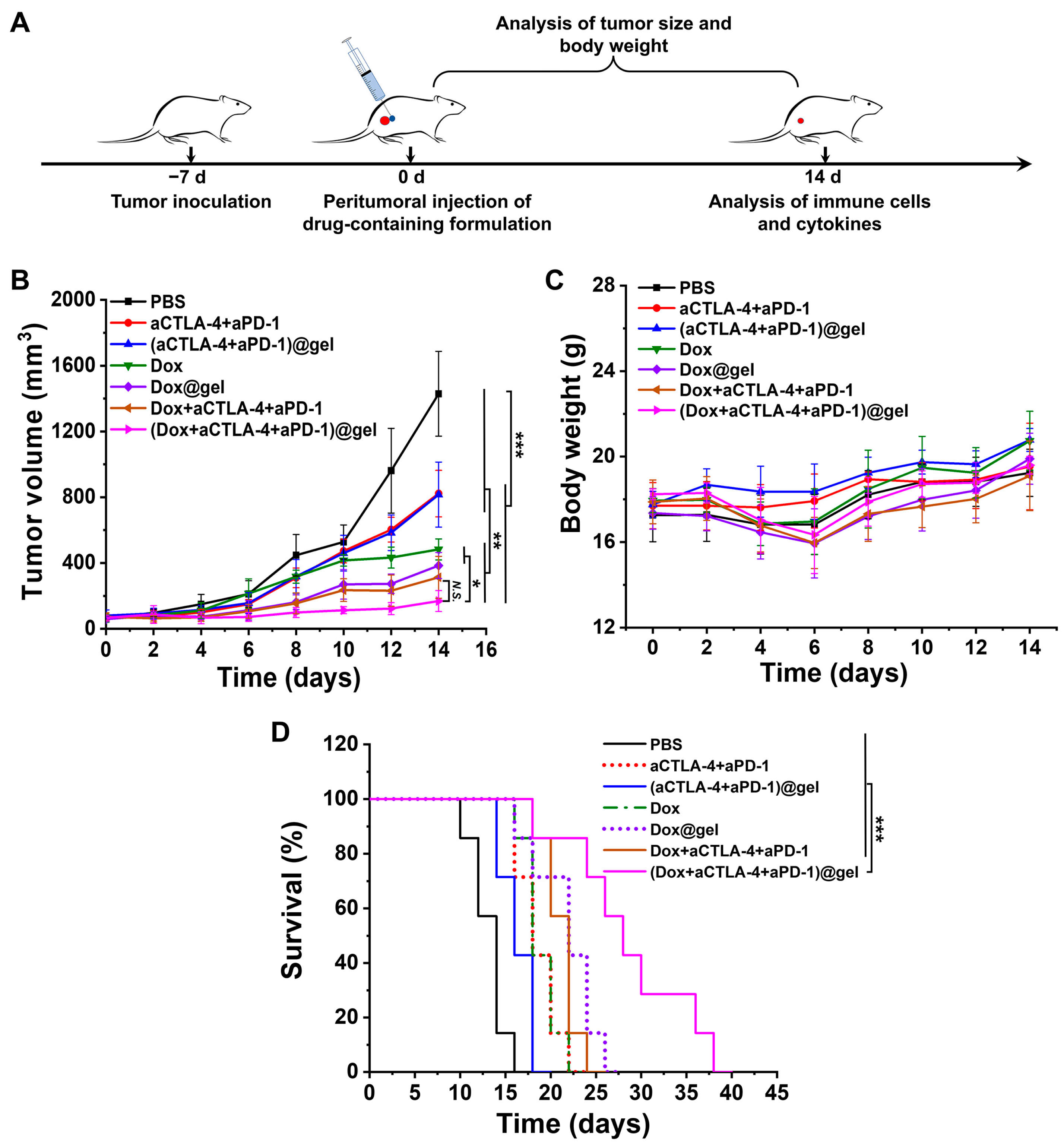 Pharmaceutics 15 00428 g003