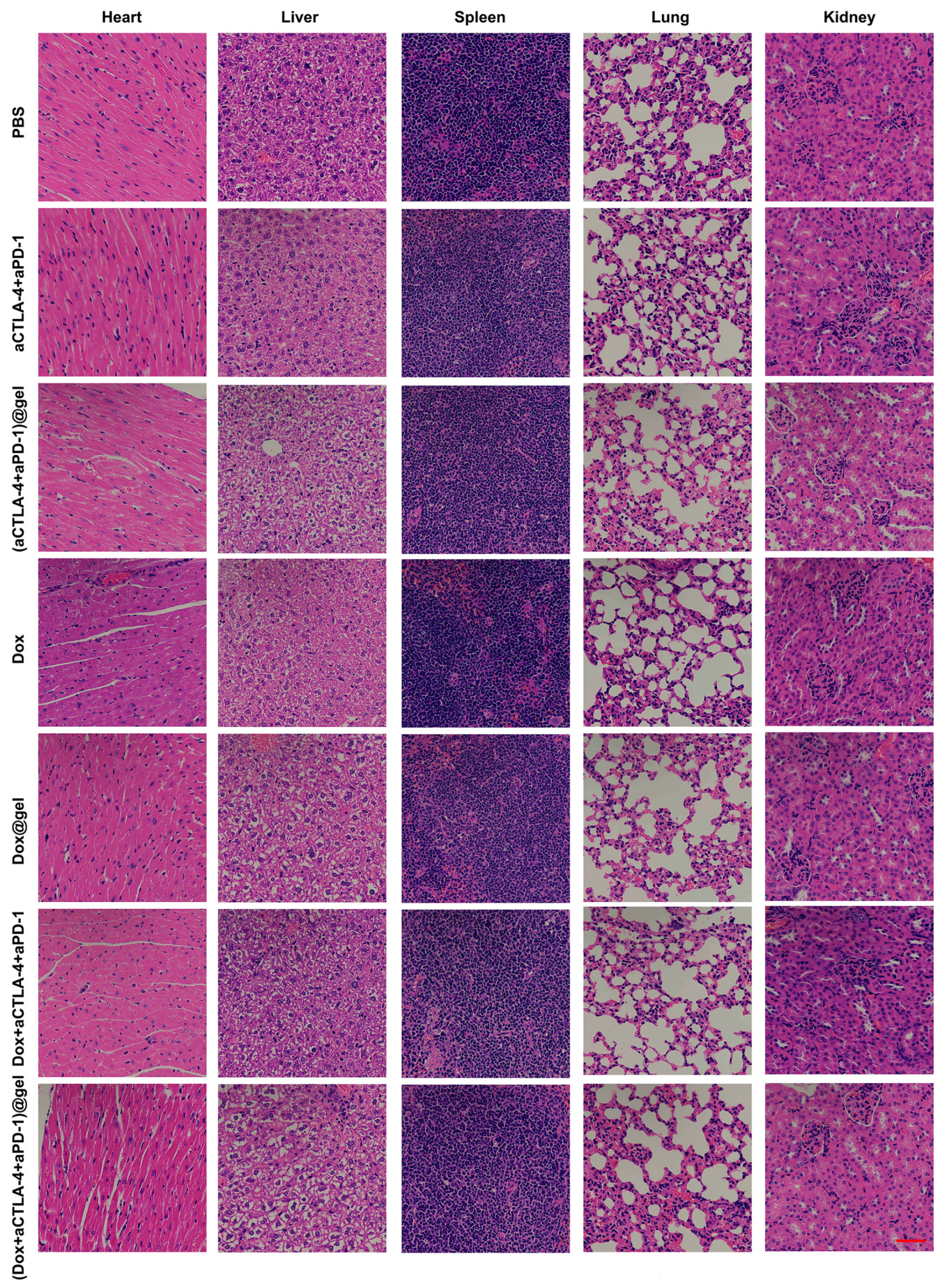 Pharmaceutics 15 00428 g004