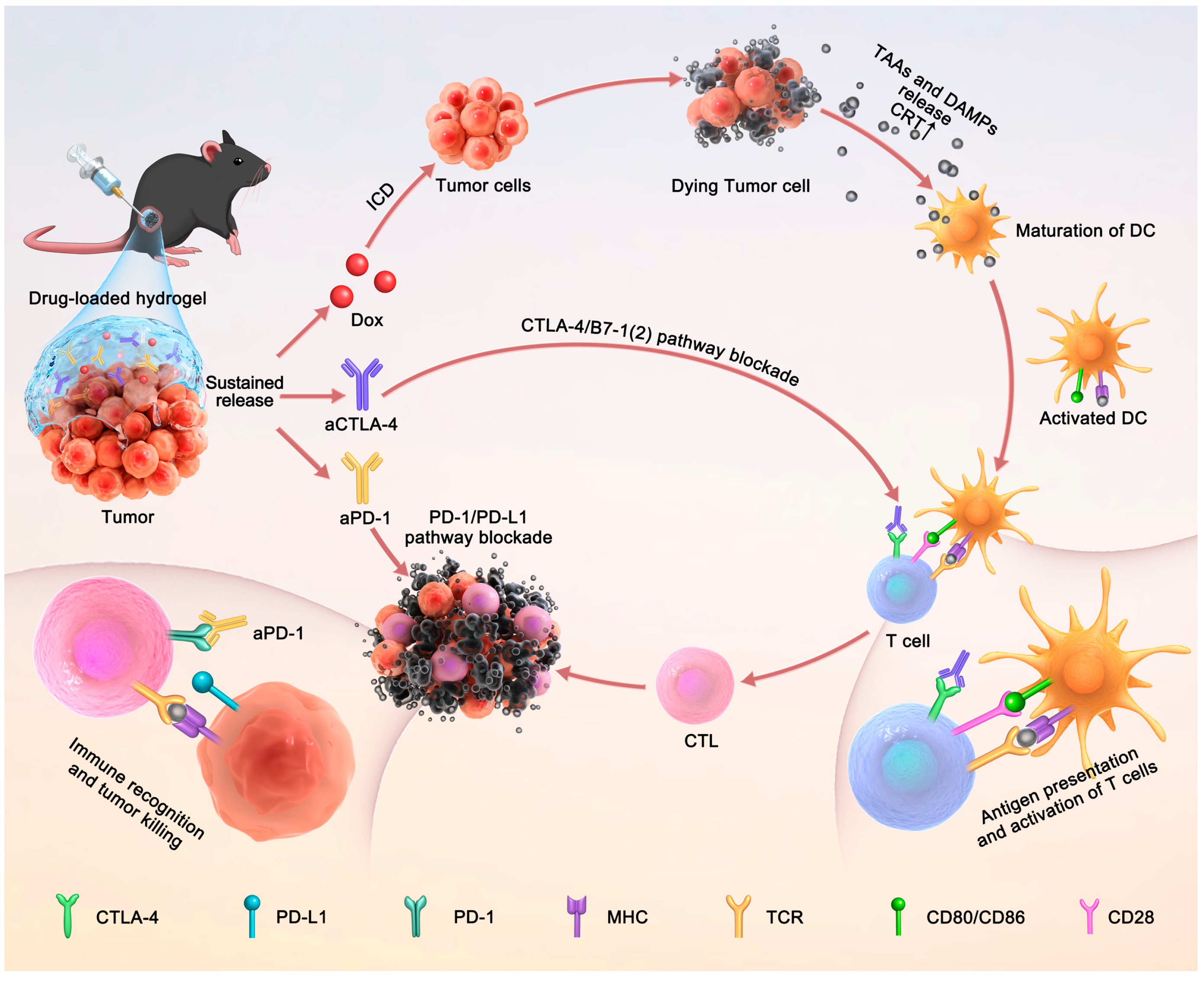 Pharmaceutics 15 00428 sch001