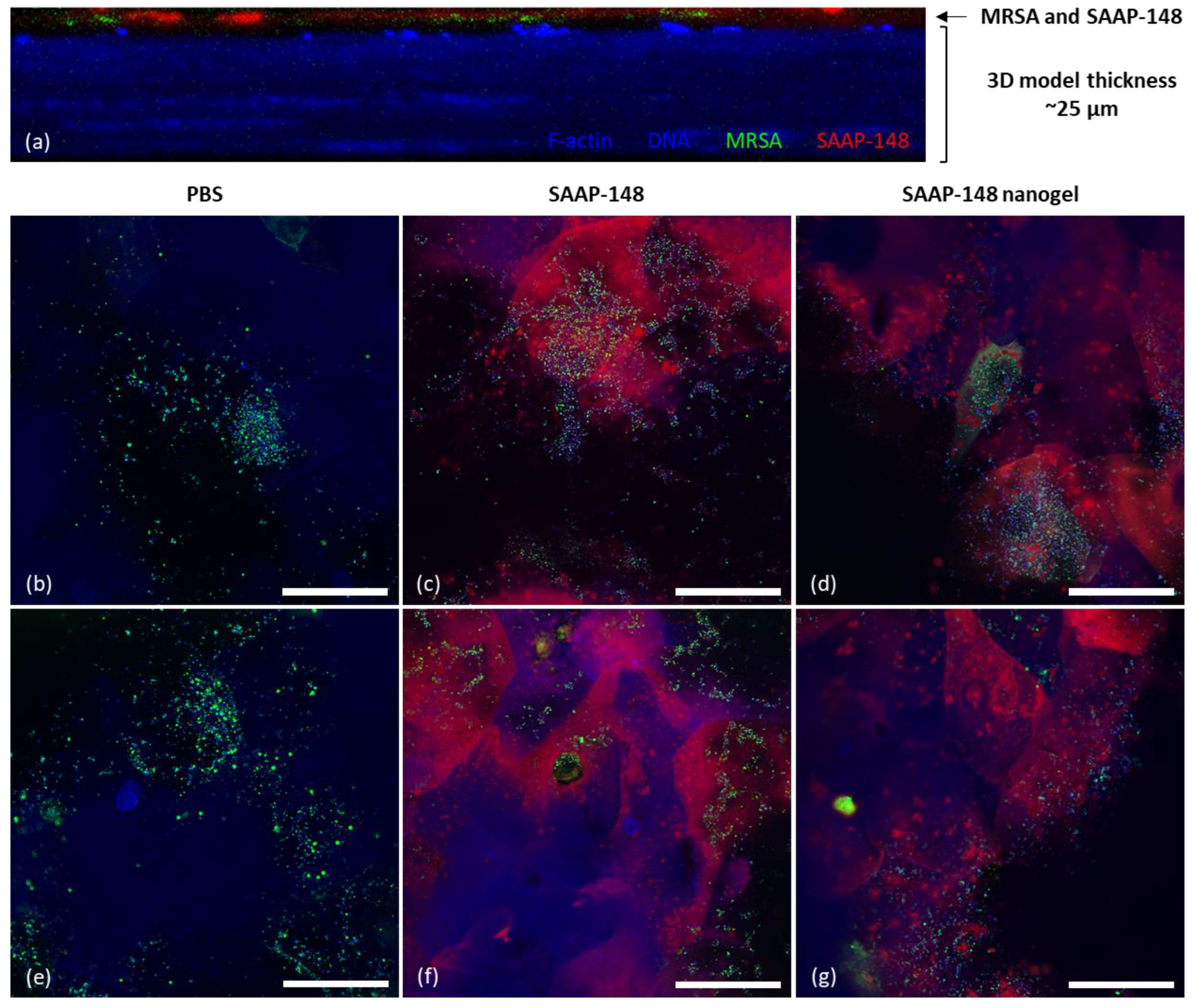 Pharmaceutics 15 00429 g005 Pharmaceutics 15 00429 g005