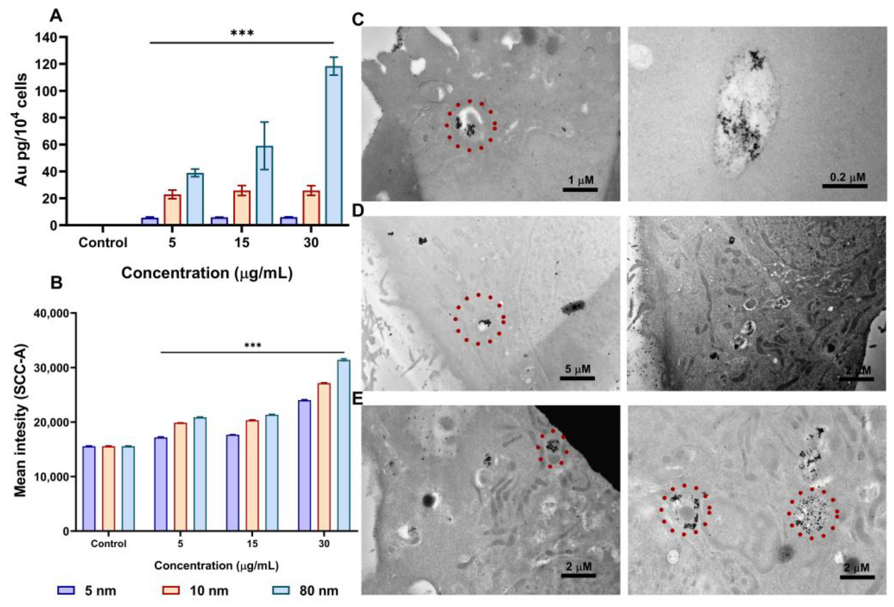 Pharmaceutics 15 00432 g003 Pharmaceutics 15 00432 g003