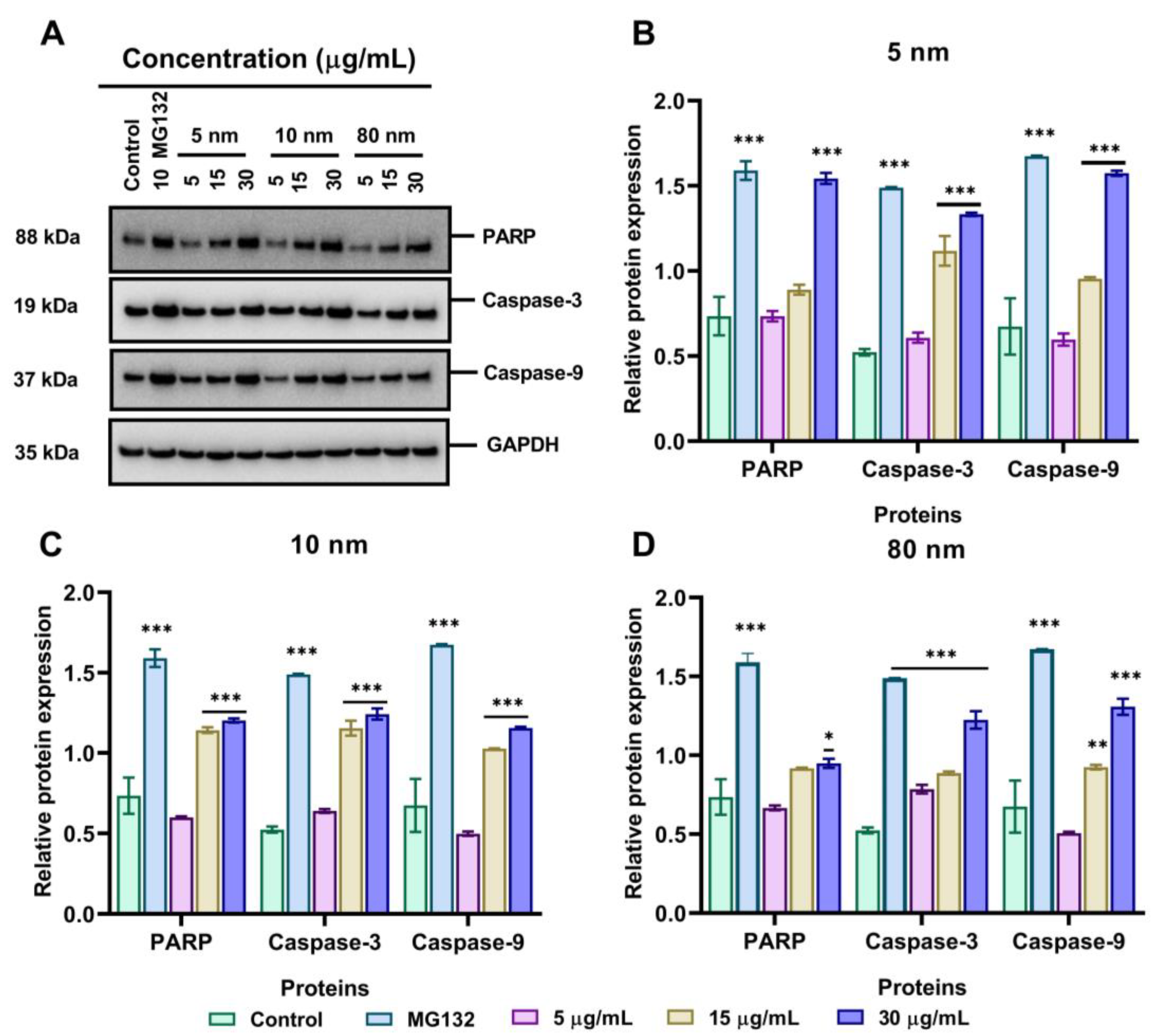 Pharmaceutics 15 00432 g008 Pharmaceutics 15 00432 g008