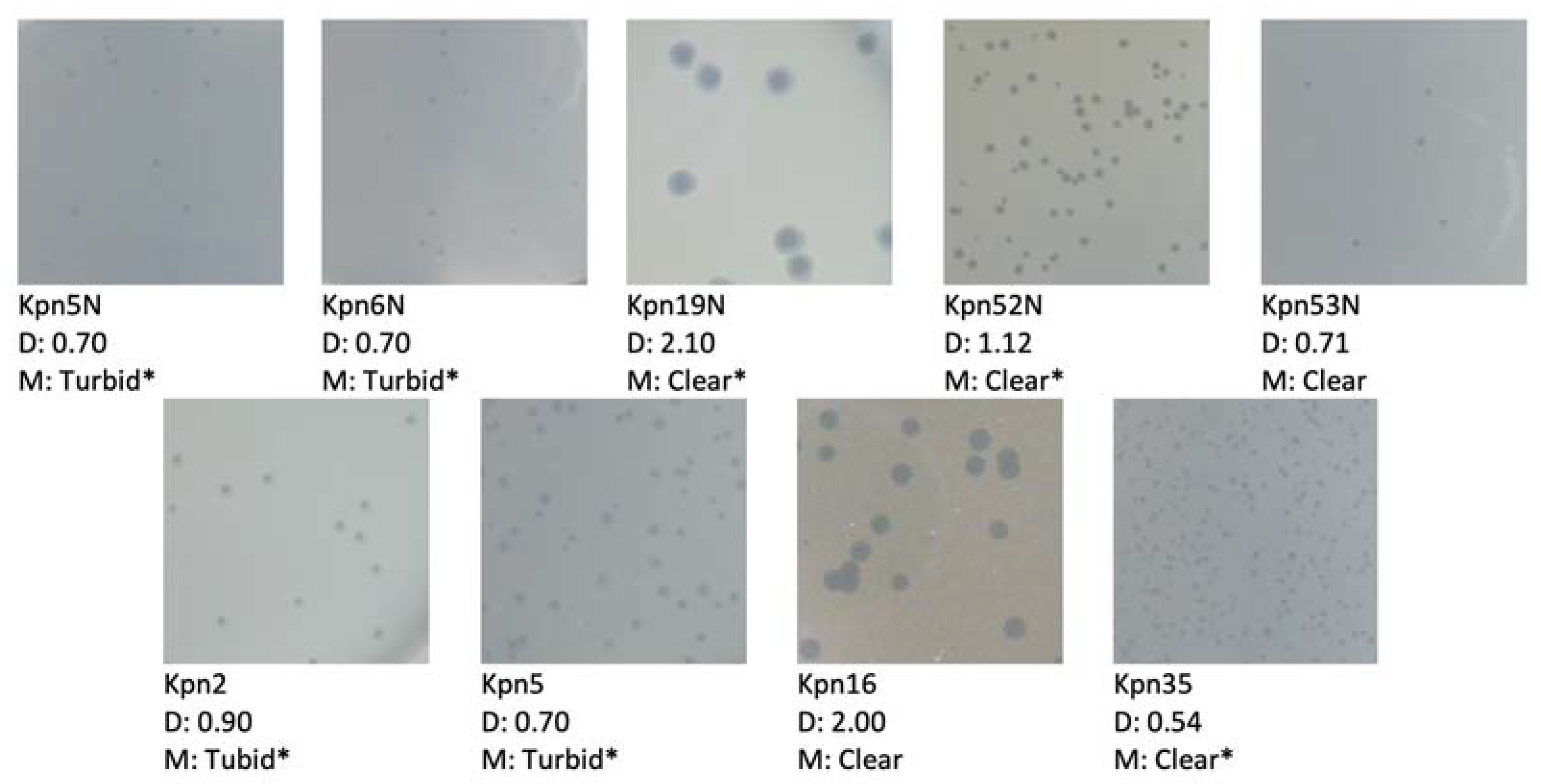 Pharmaceutics 15 00434 g003 Pharmaceutics 15 00434 g003