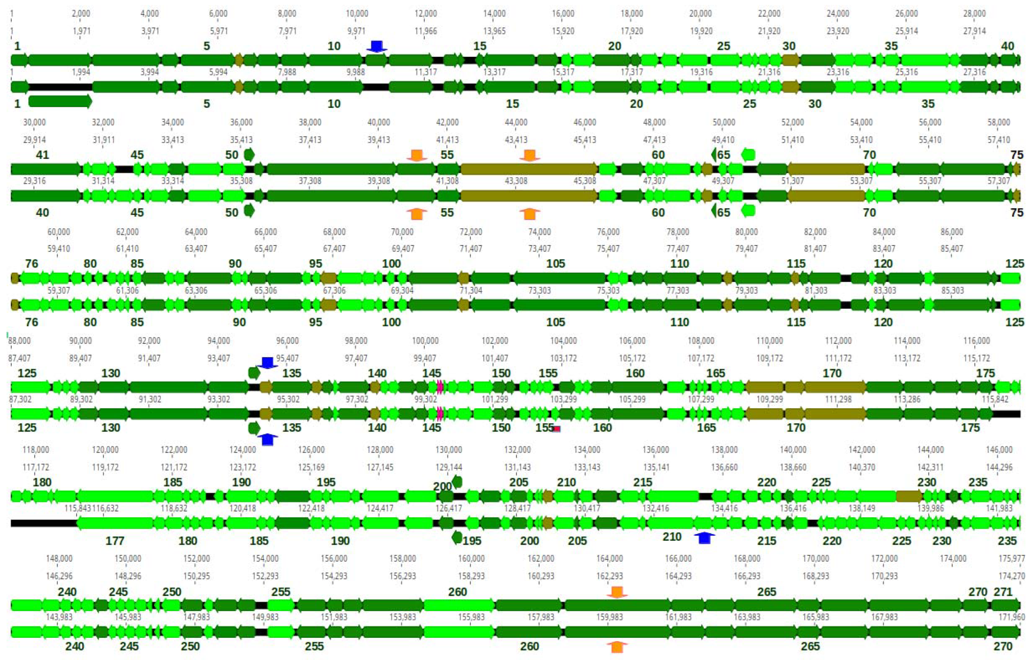 Pharmaceutics 15 00434 g009 Pharmaceutics 15 00434 g009