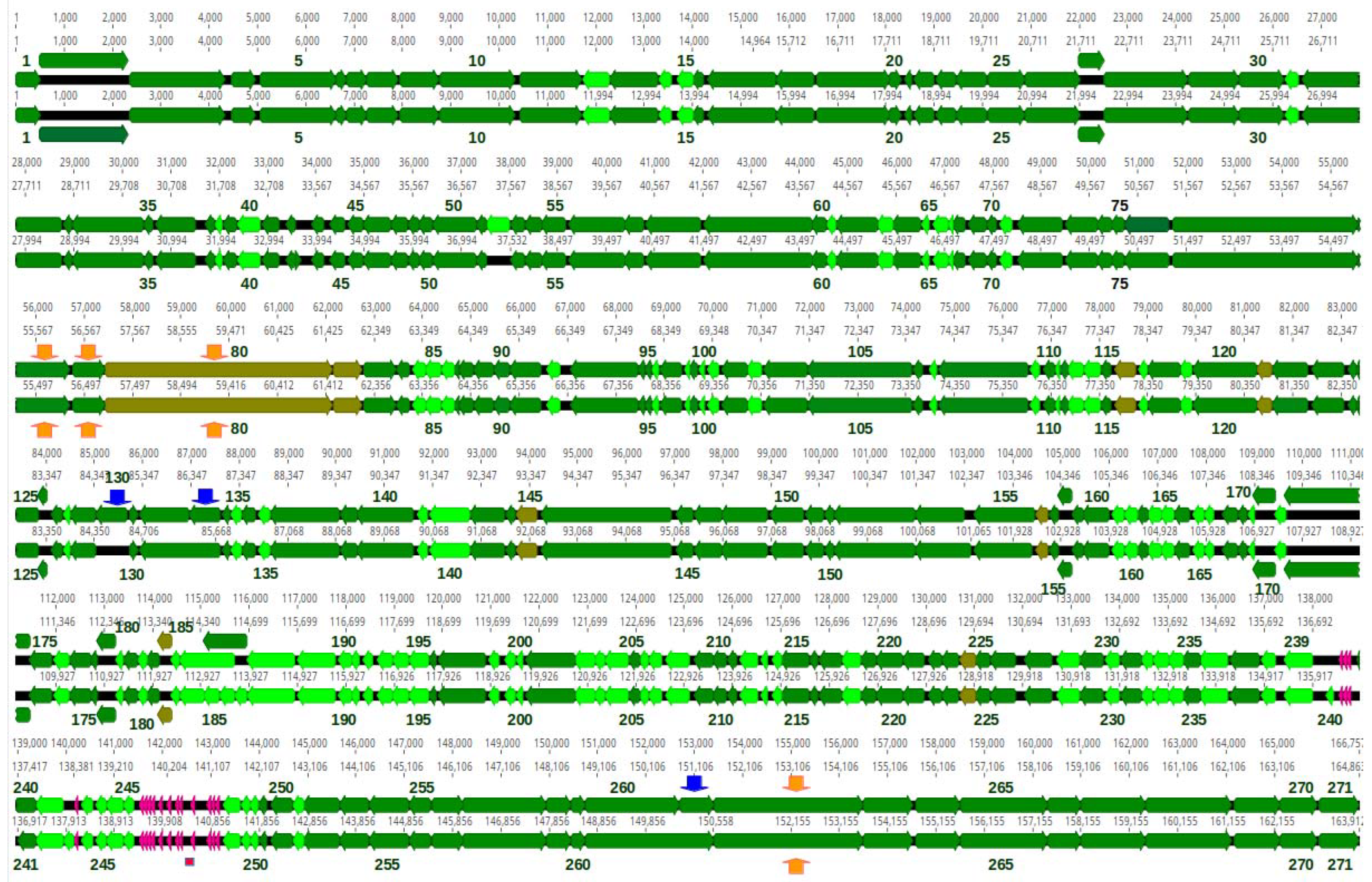 Pharmaceutics 15 00434 g010 Pharmaceutics 15 00434 g010