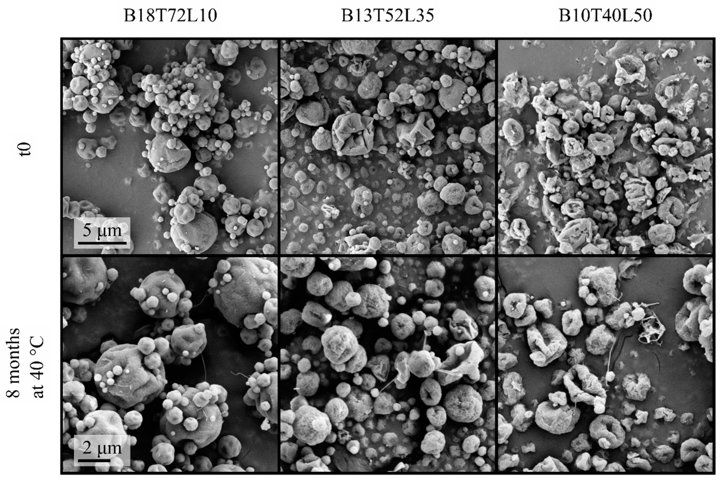 Pharmaceutics 15 00435 g002