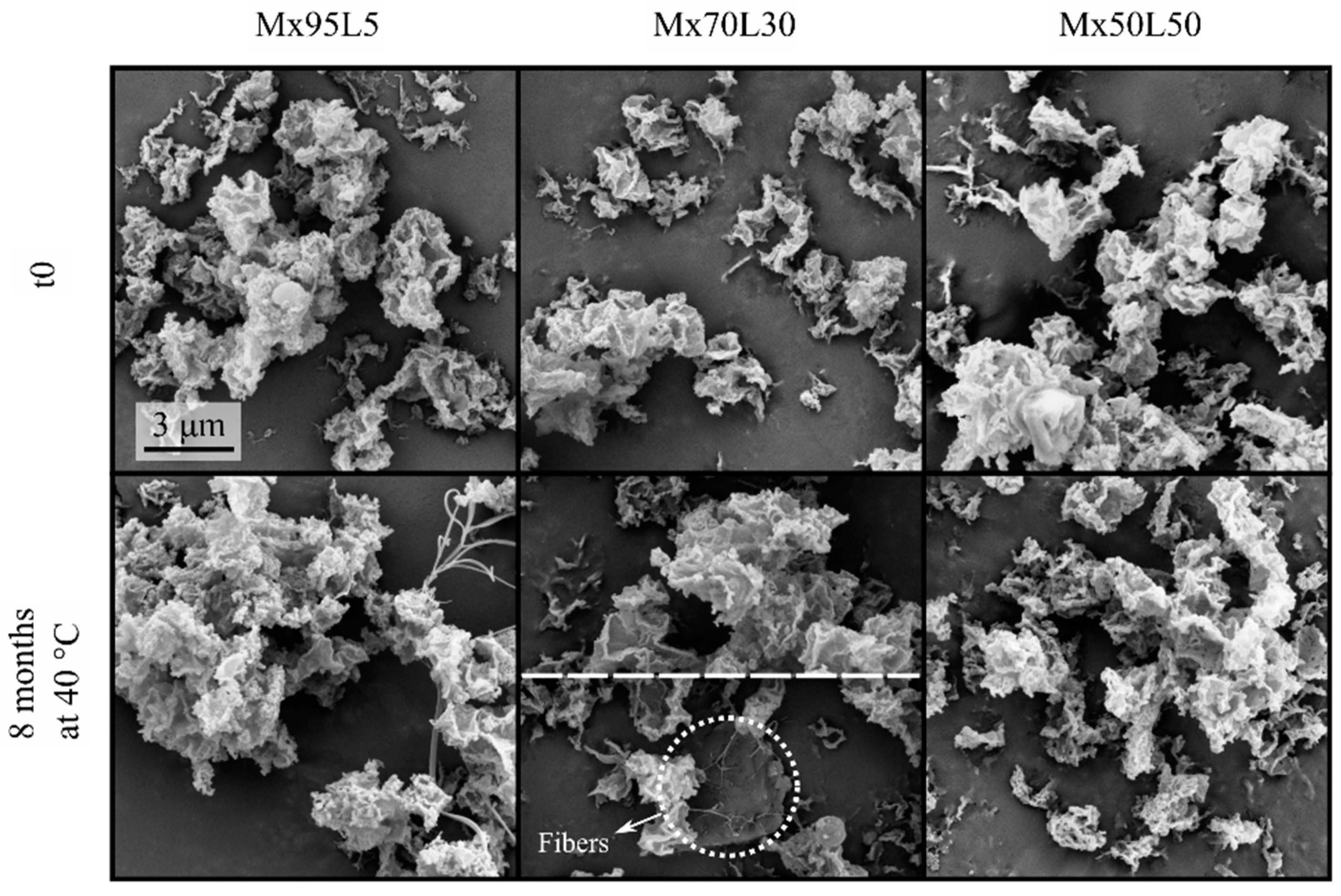 Pharmaceutics 15 00435 g004