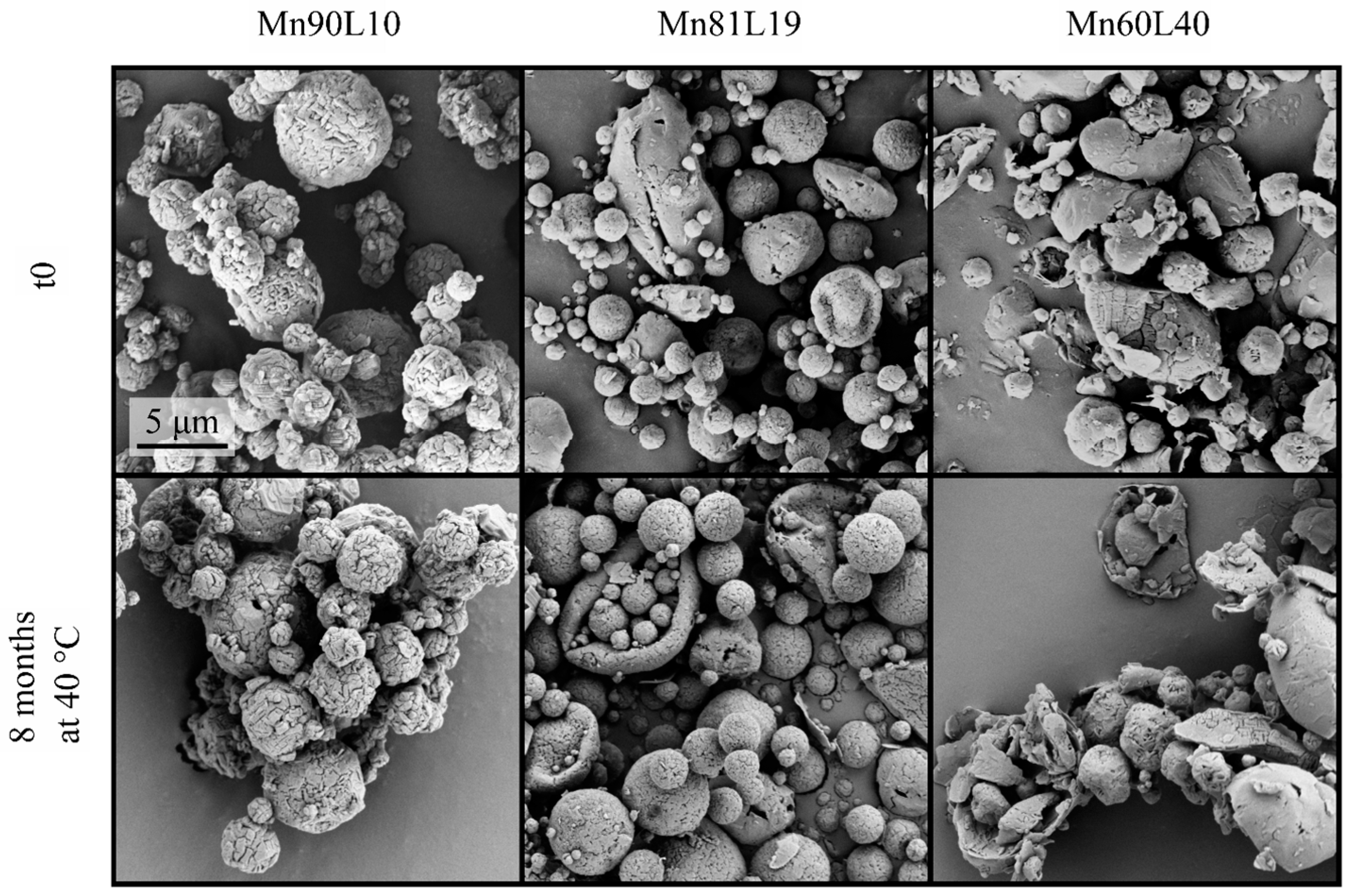 Pharmaceutics 15 00435 g005