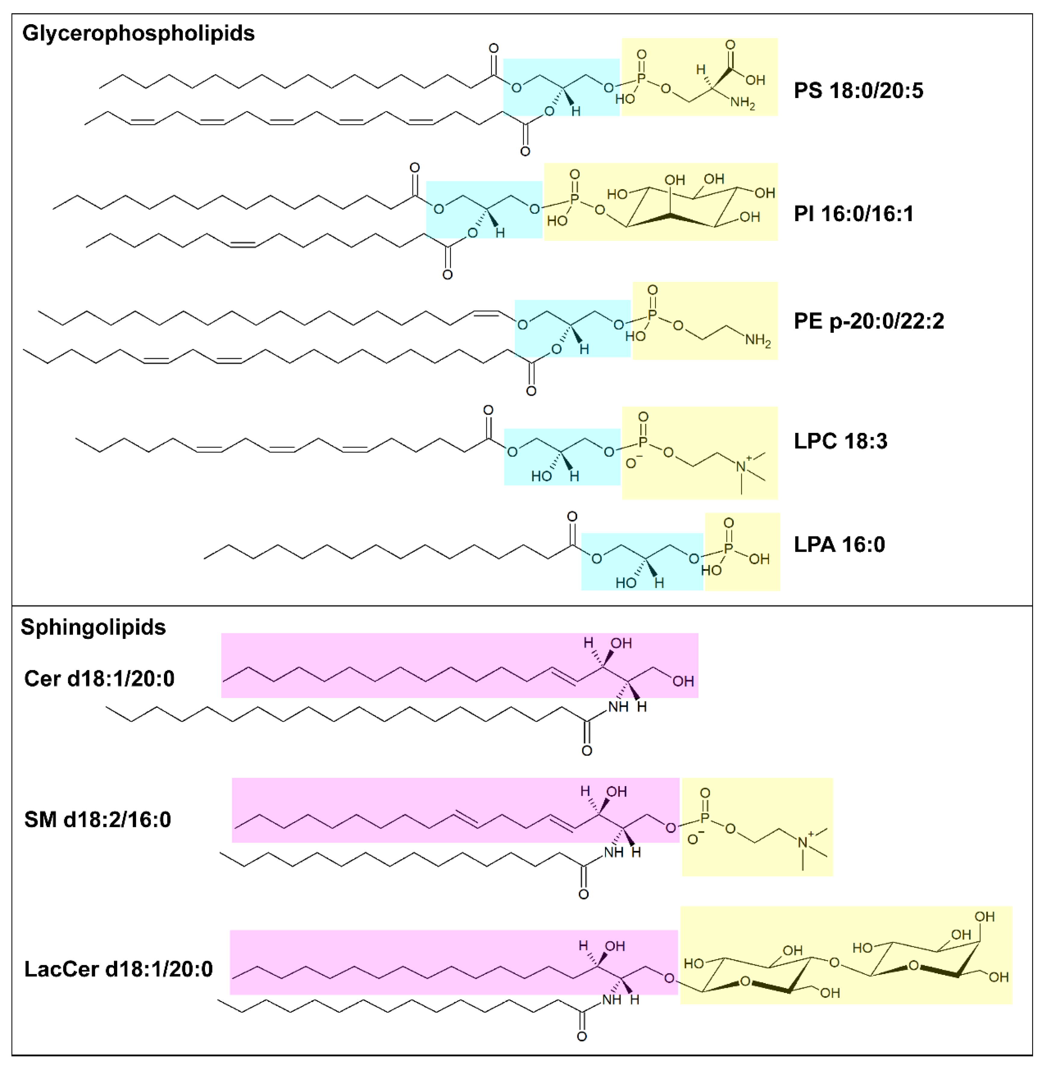 Pharmaceutics 15 00437 g001 Pharmaceutics 15 00437 g001