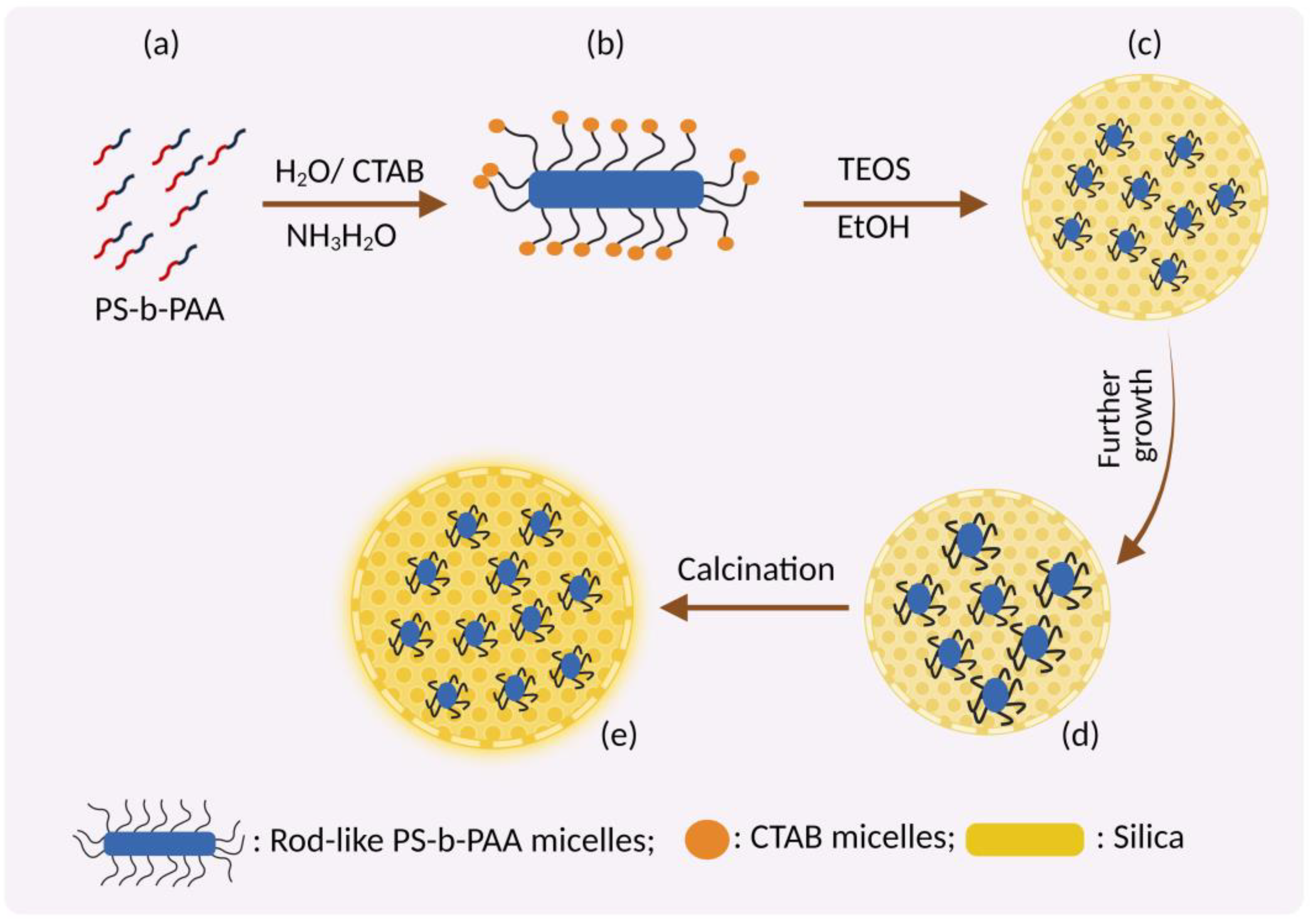 Pharmaceutics 15 00439 g004 Pharmaceutics 15 00439 g004