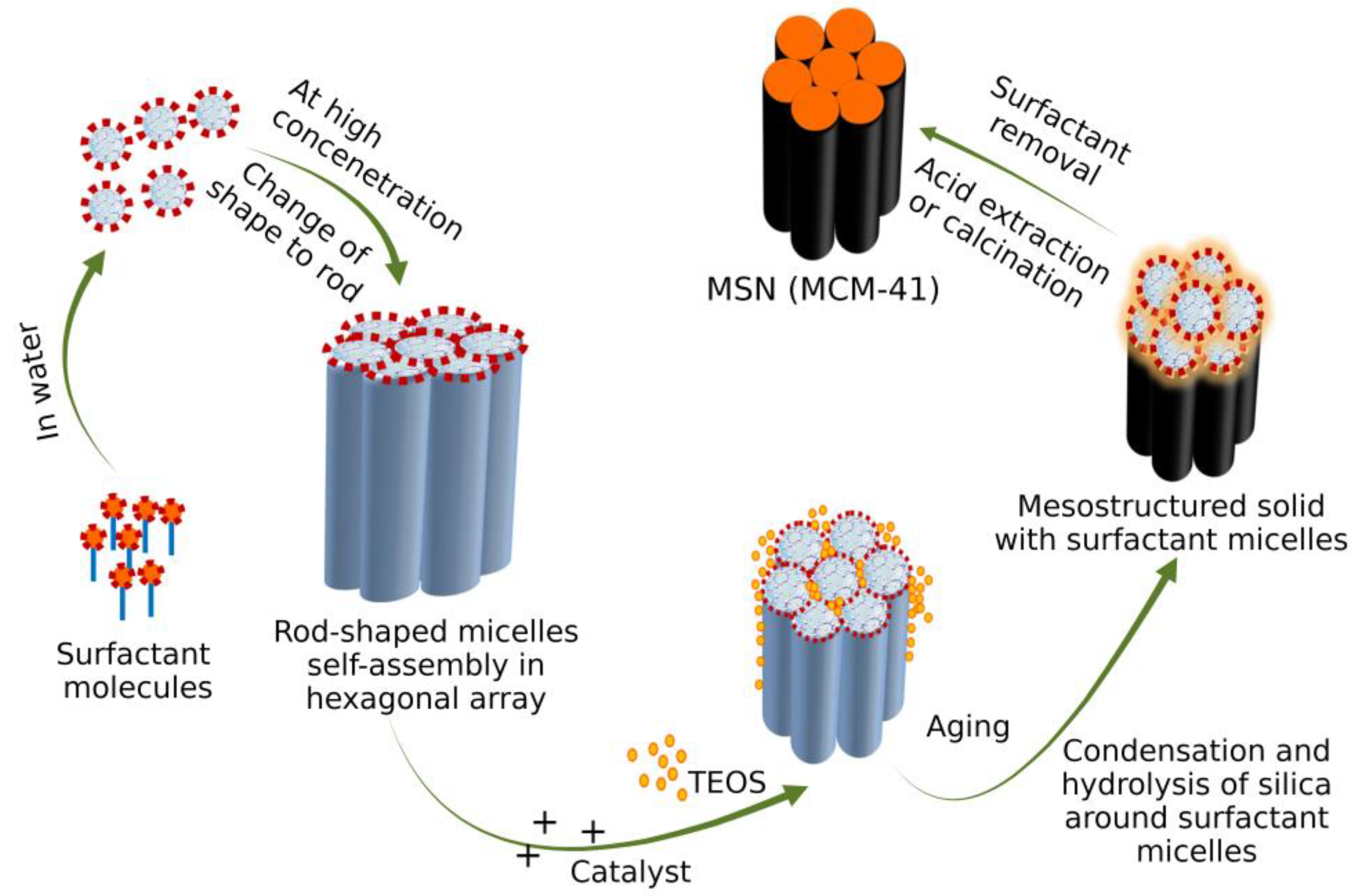 Pharmaceutics 15 00439 g005 Pharmaceutics 15 00439 g005