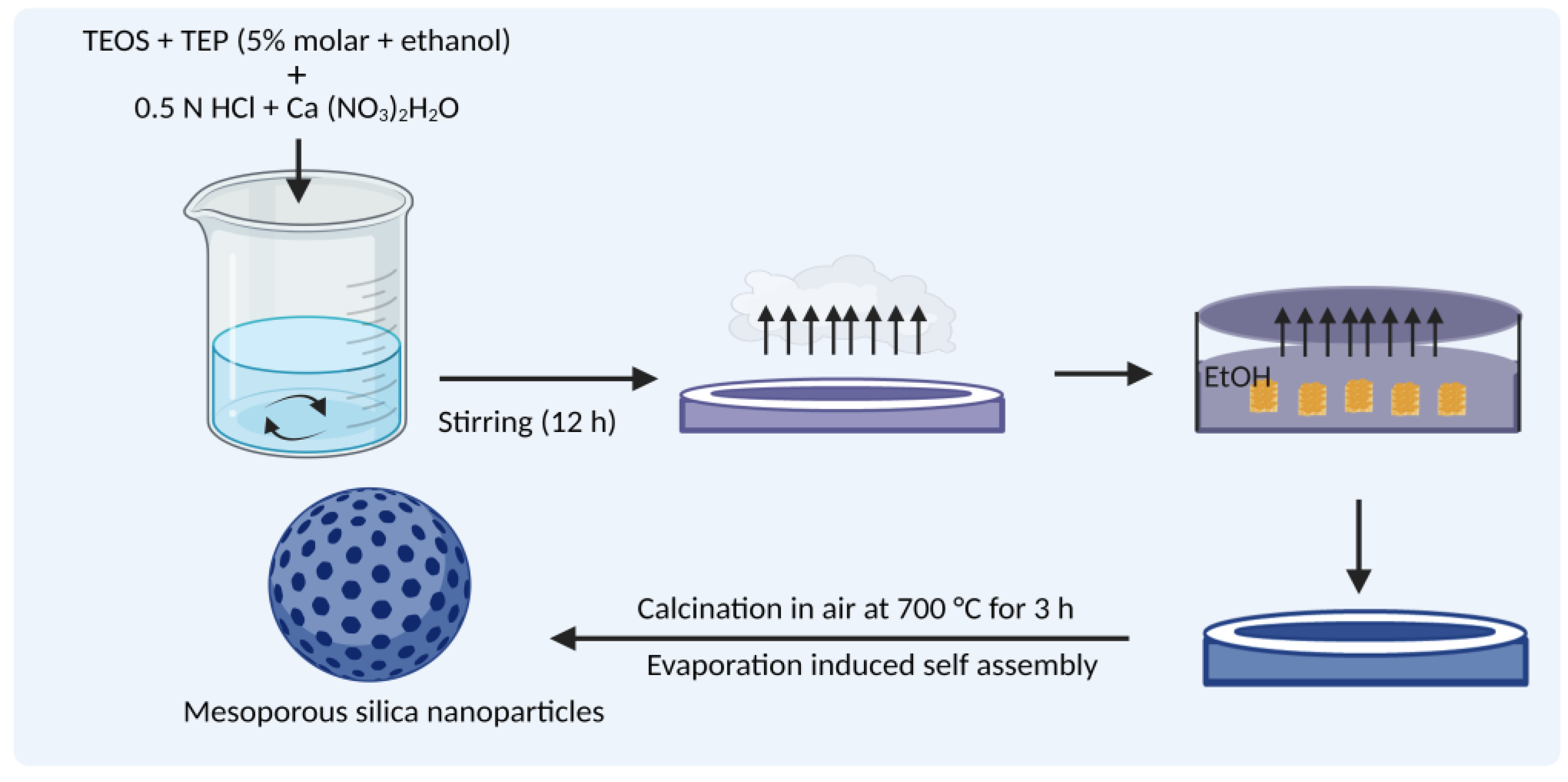 Pharmaceutics 15 00439 g006 Pharmaceutics 15 00439 g006