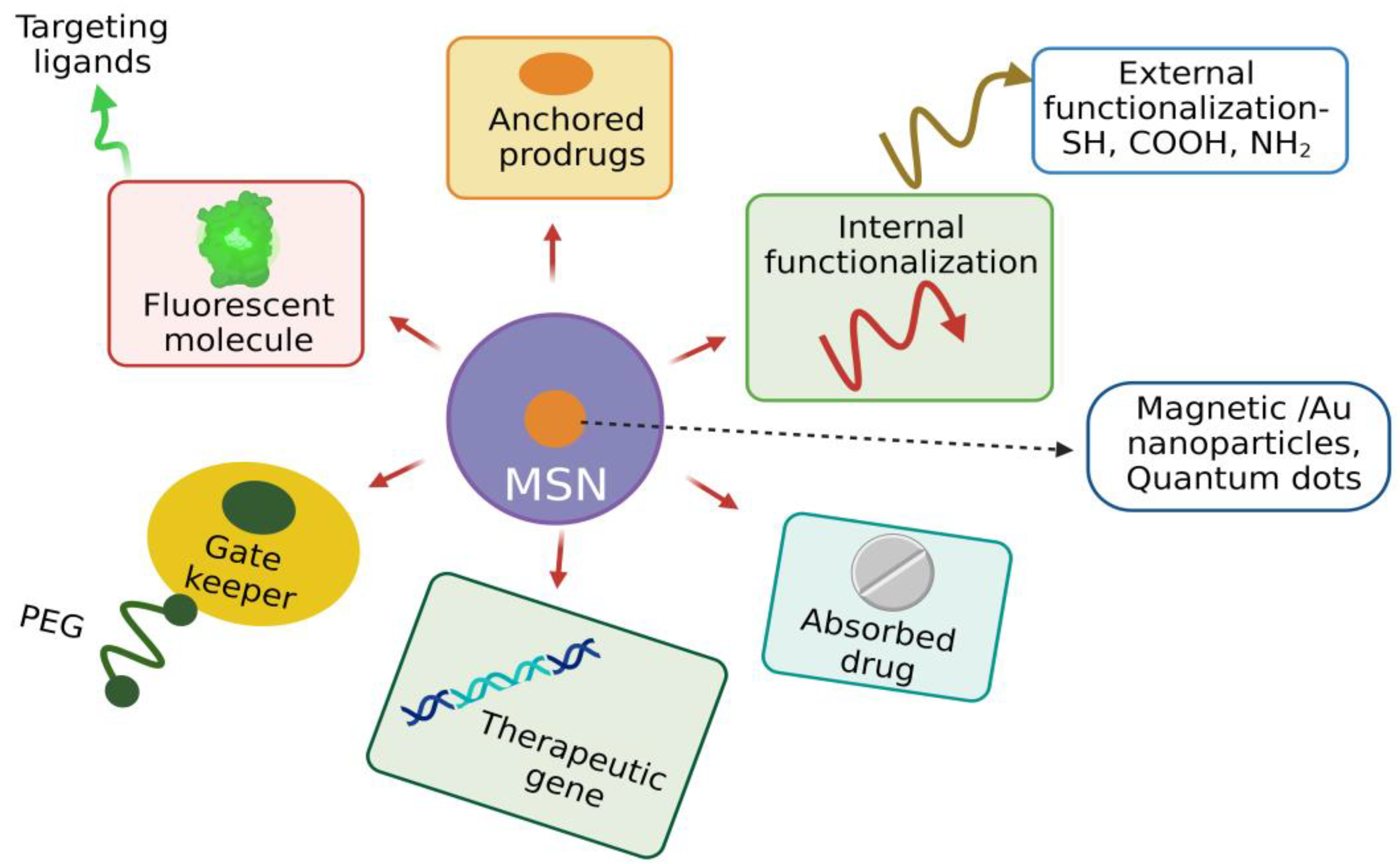 Pharmaceutics 15 00439 g007 Pharmaceutics 15 00439 g007