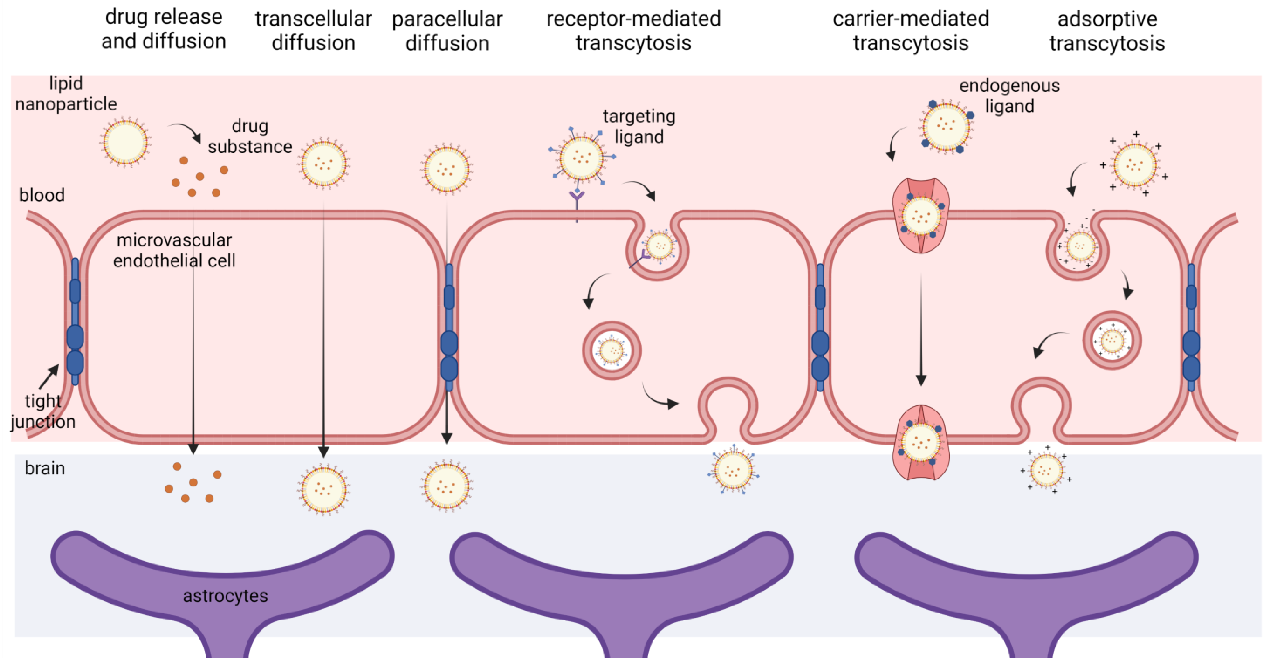Pharmaceutics 15 00443 g003 Pharmaceutics 15 00443 g003