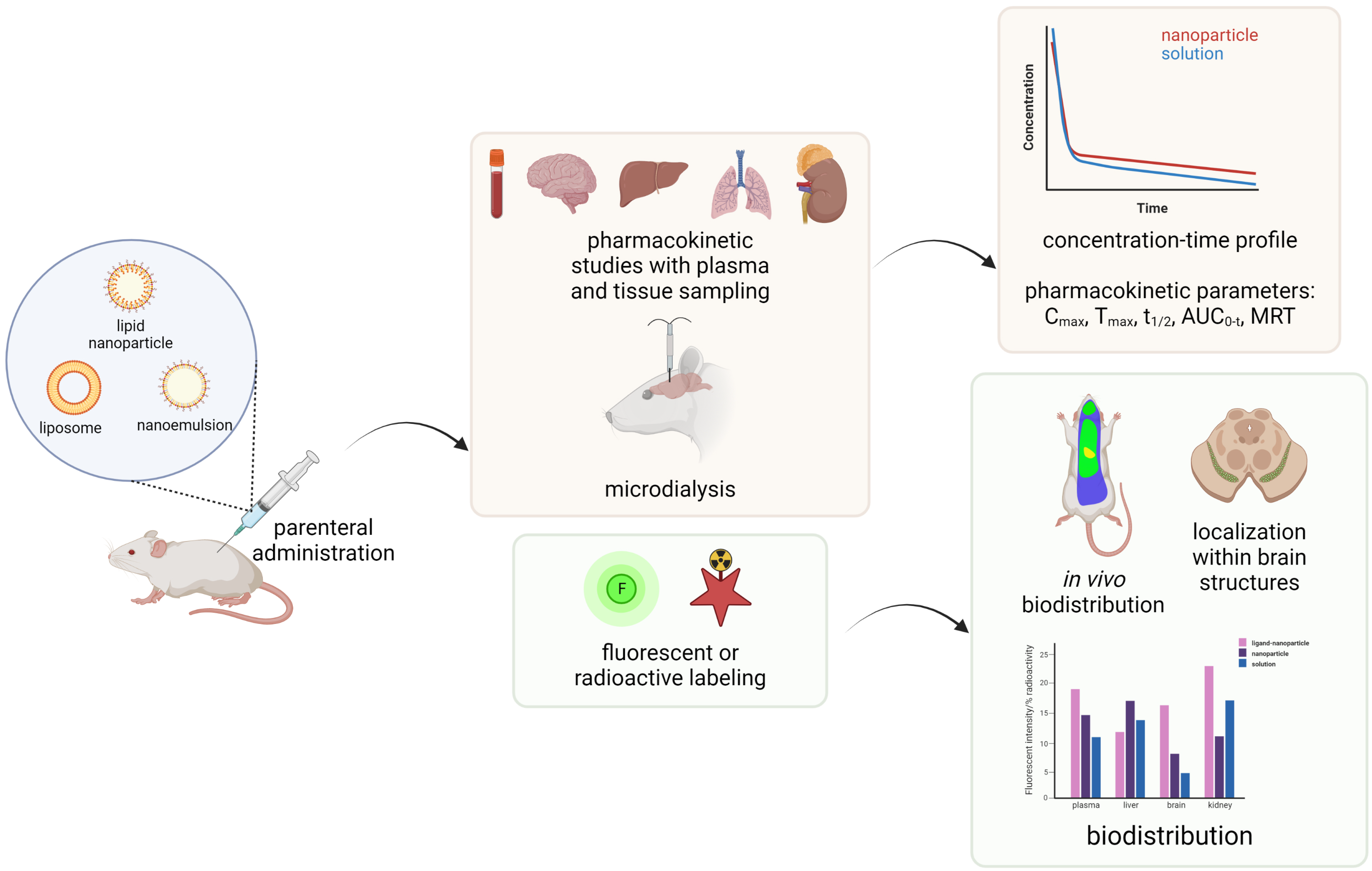 Pharmaceutics 15 00443 g004 Pharmaceutics 15 00443 g004