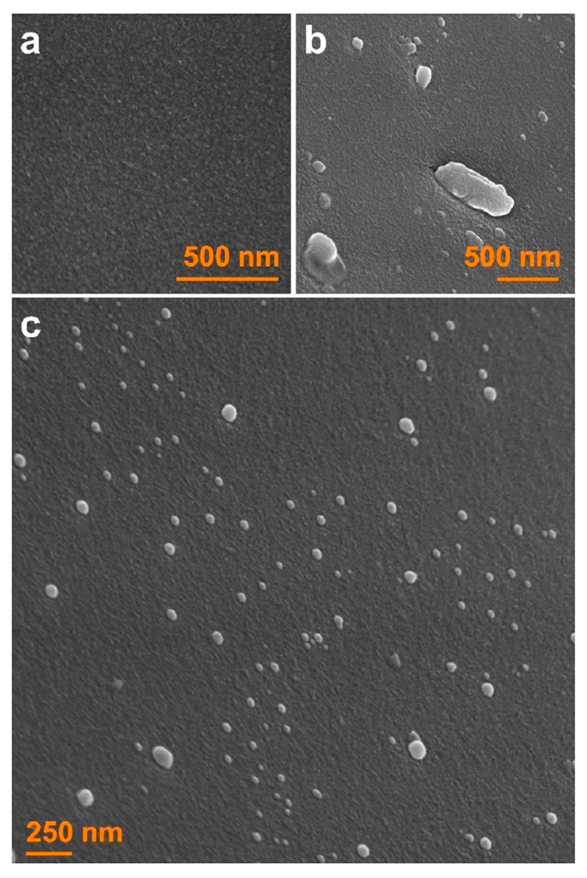 Pharmaceutics 15 00450 g001