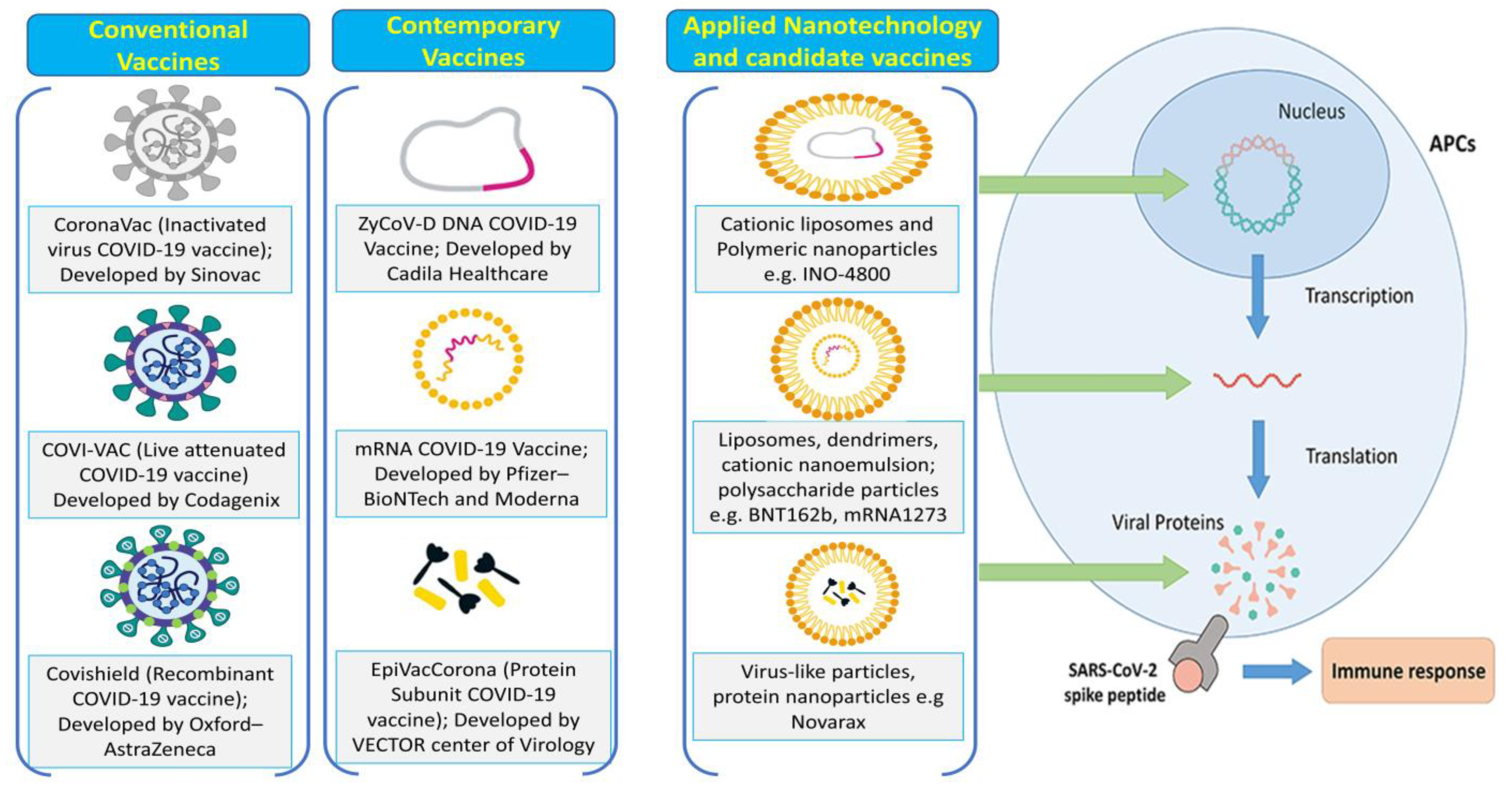 Pharmaceutics | Free Full-Text | Aspects of Nanotechnology for COVID-19  Vaccine Development and Its Delivery Applications