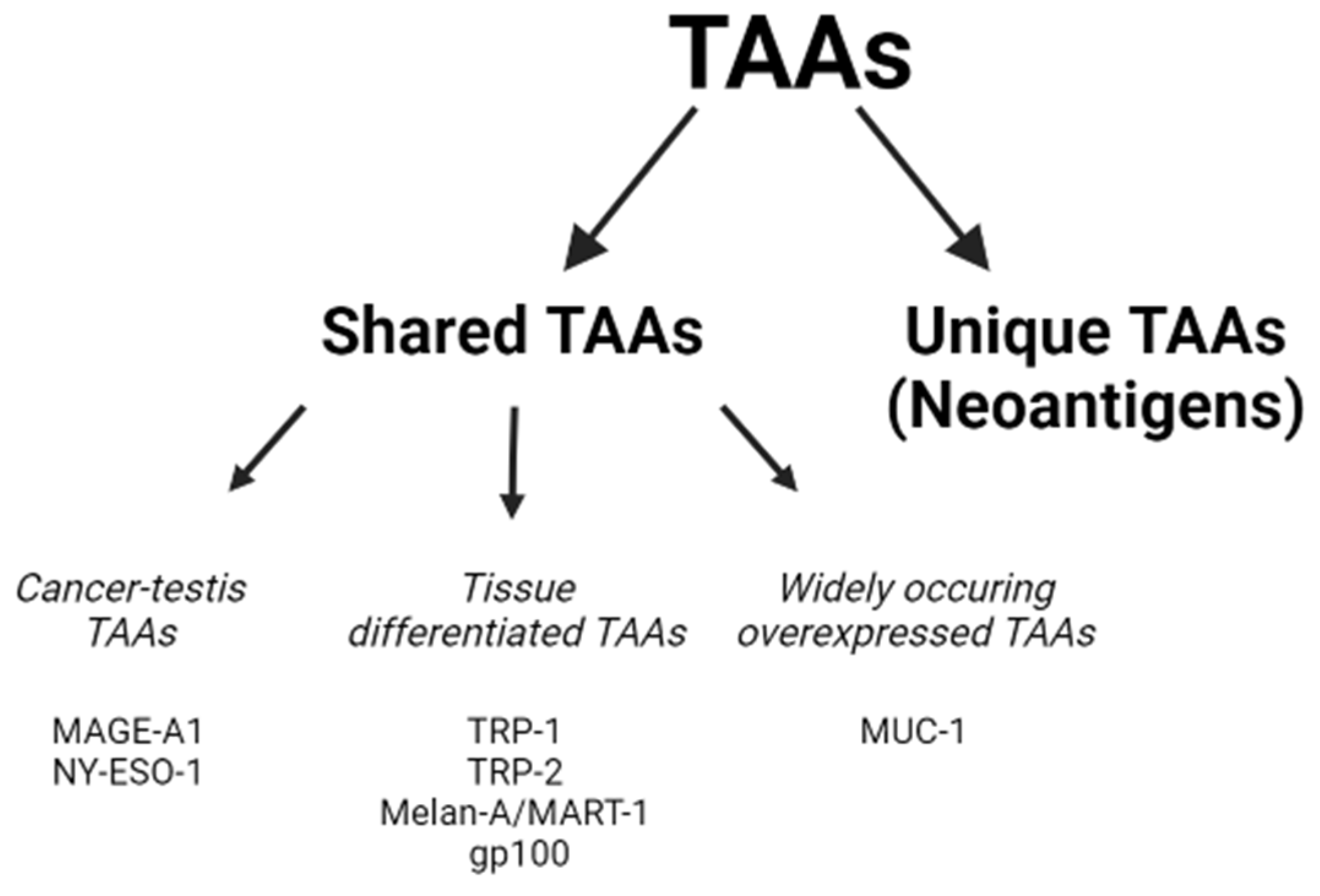 Pharmaceutics 15 00452 g001 Pharmaceutics 15 00452 g001