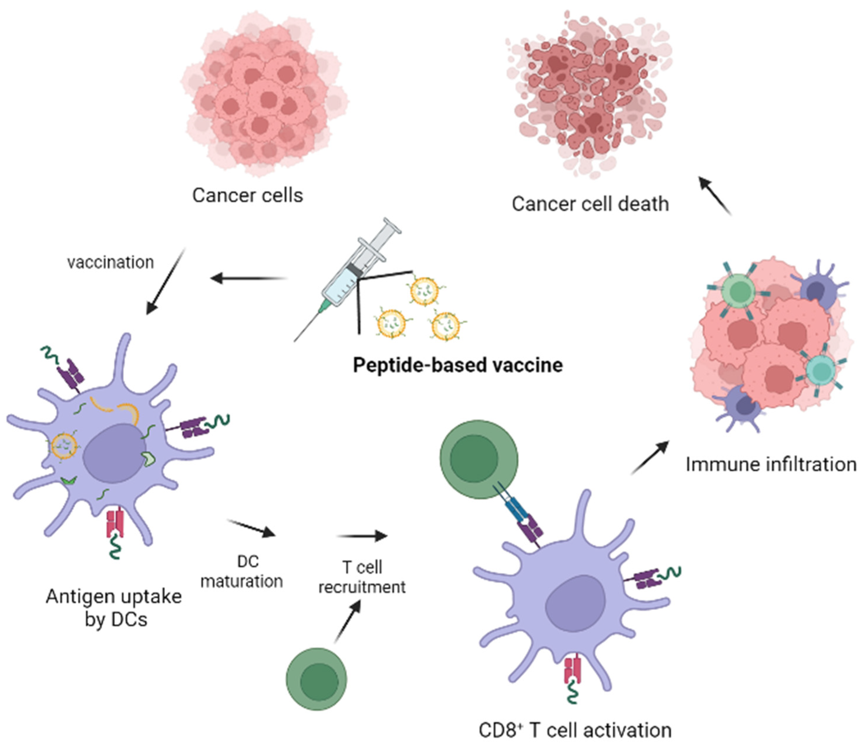 Pharmaceutics 15 00452 g002 Pharmaceutics 15 00452 g002