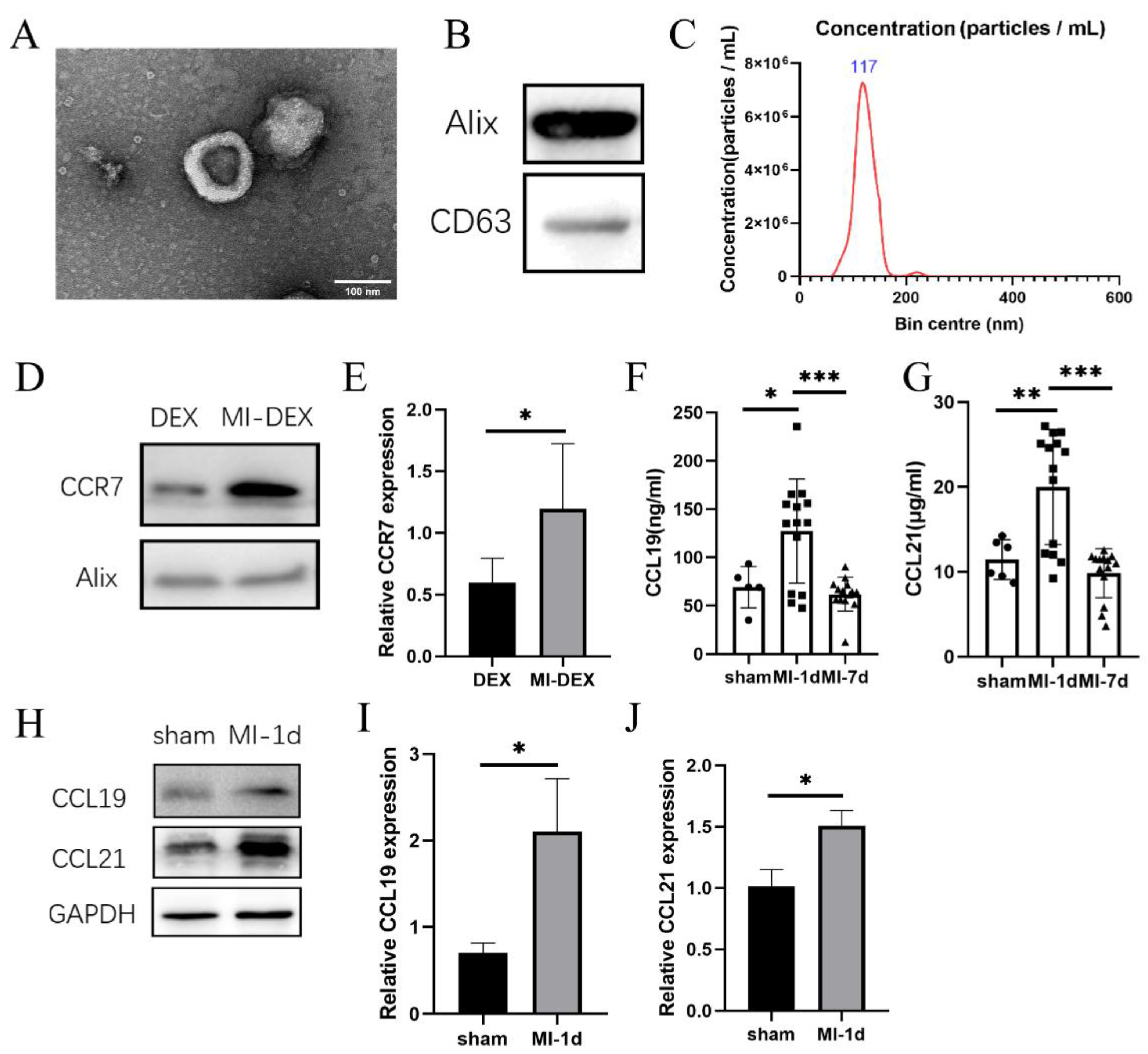 Pharmaceutics 15 00461 g001