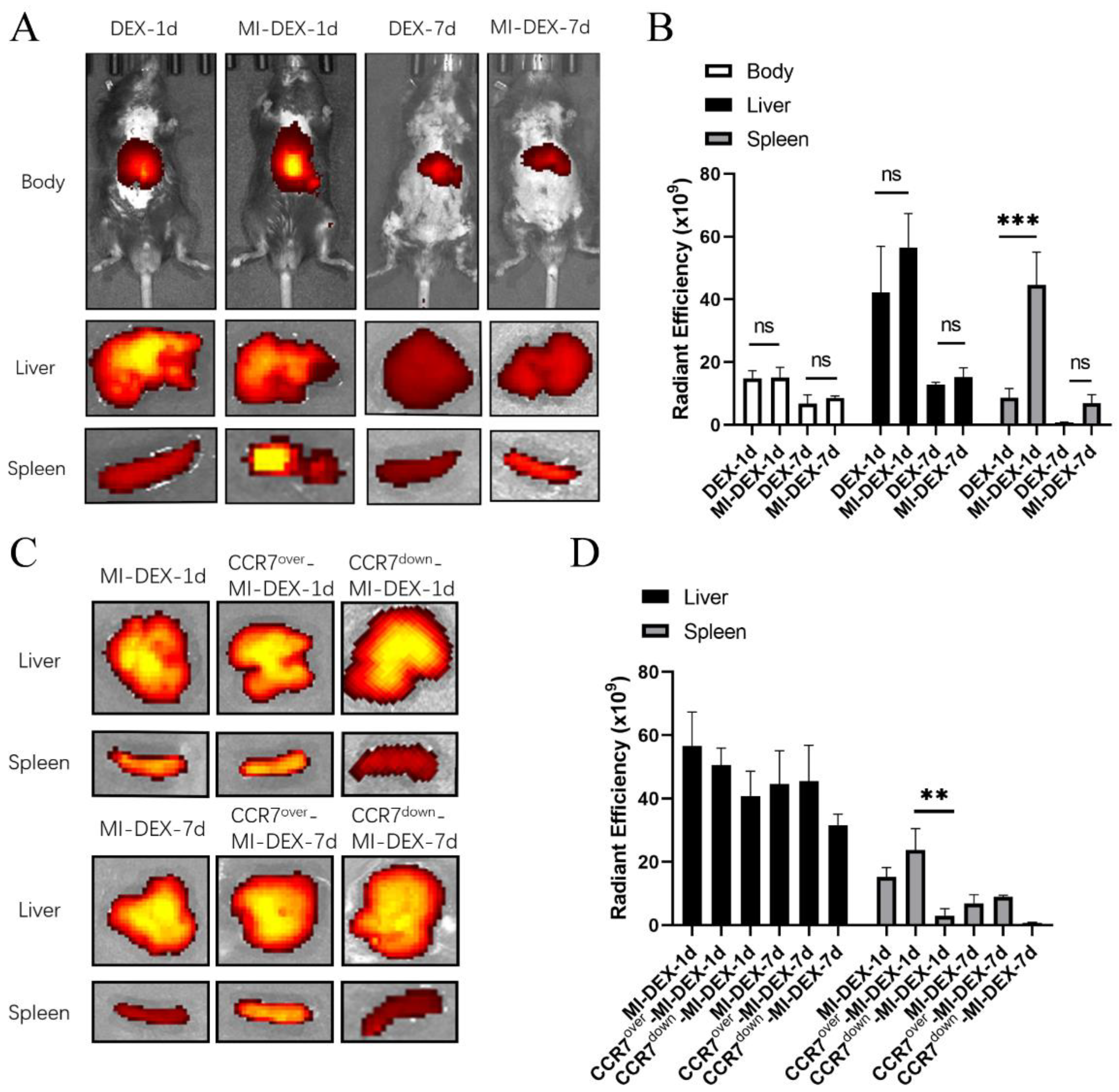 Pharmaceutics 15 00461 g002