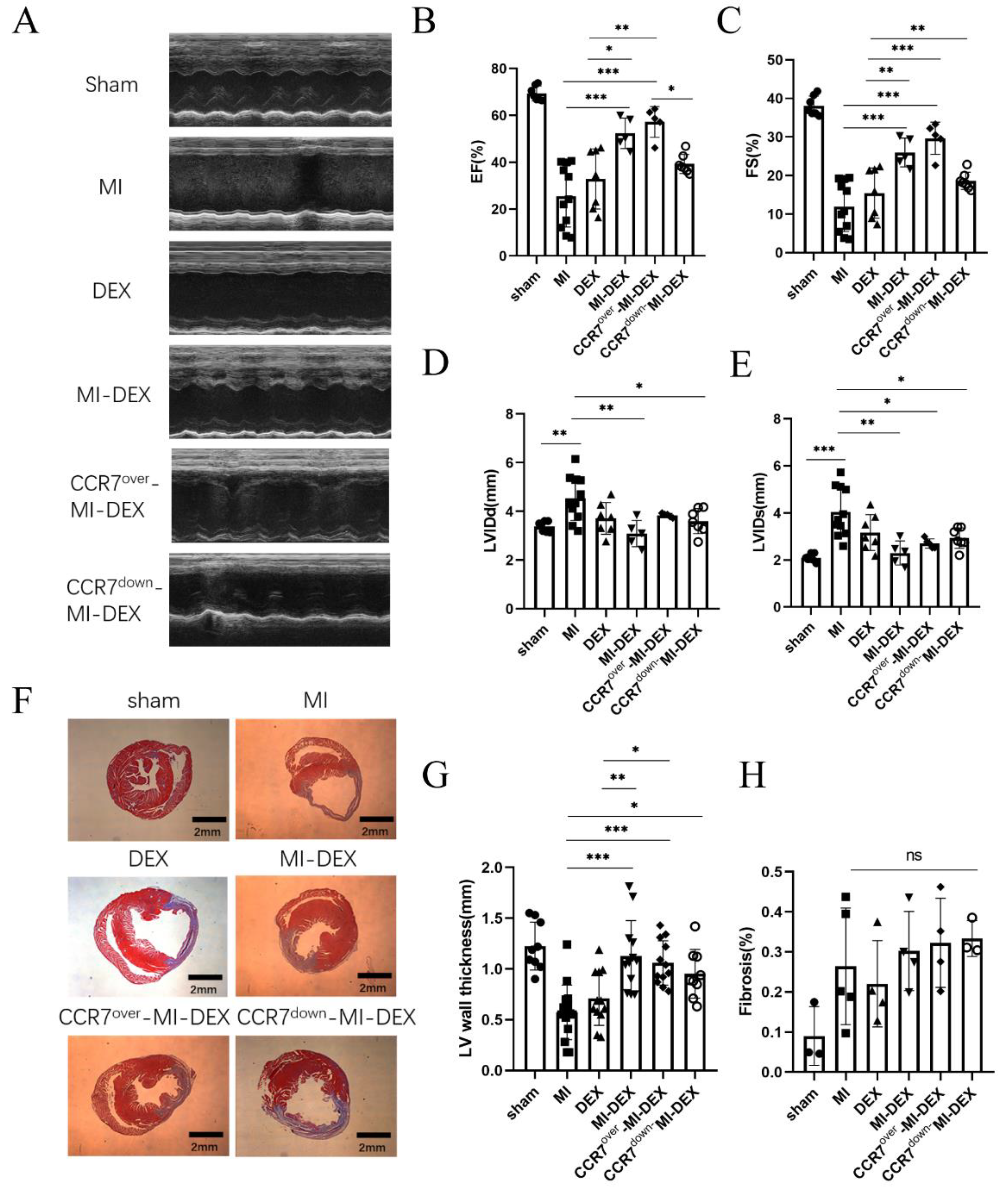 Pharmaceutics 15 00461 g003