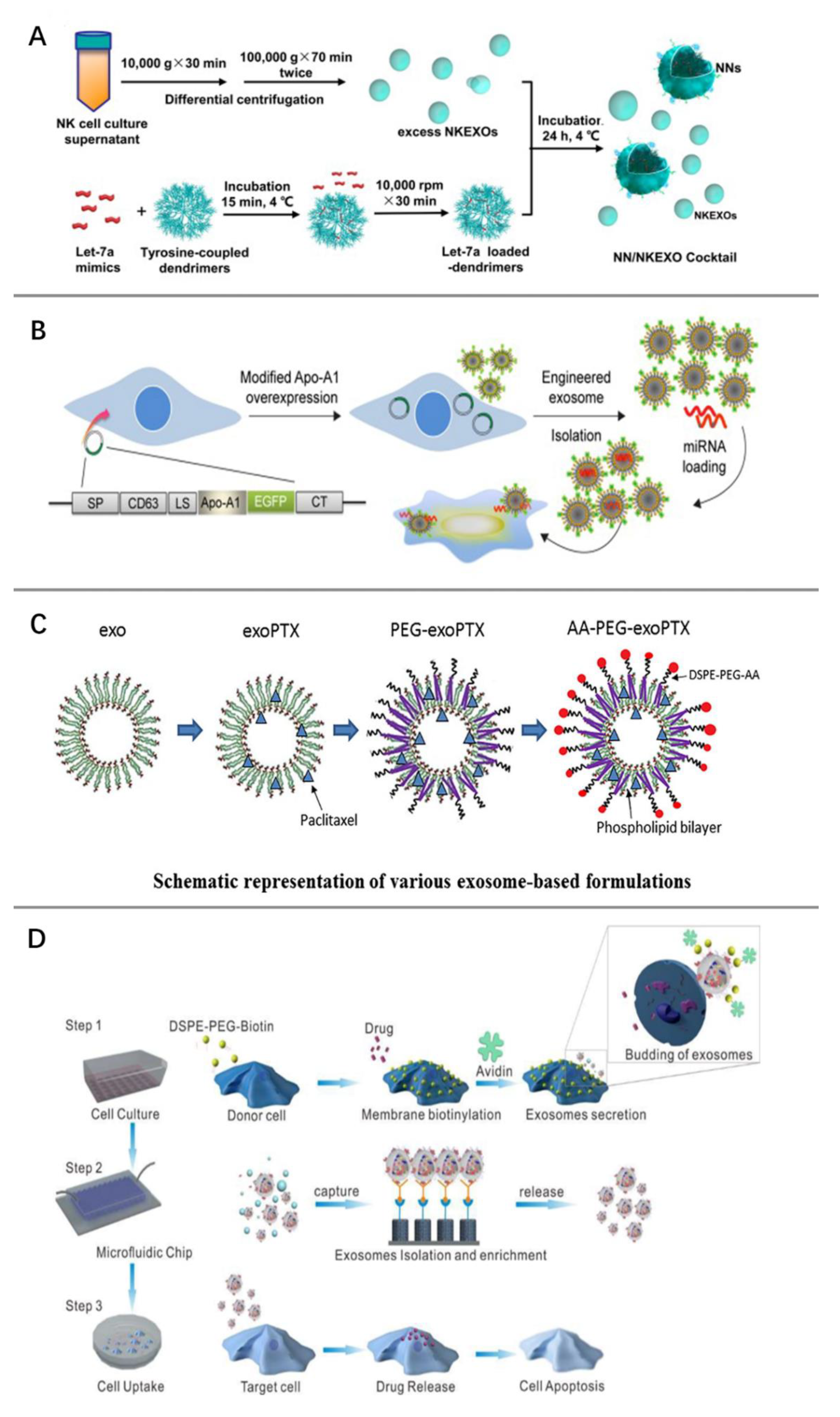 Pharmaceutics 15 00462 g003 Pharmaceutics 15 00462 g003