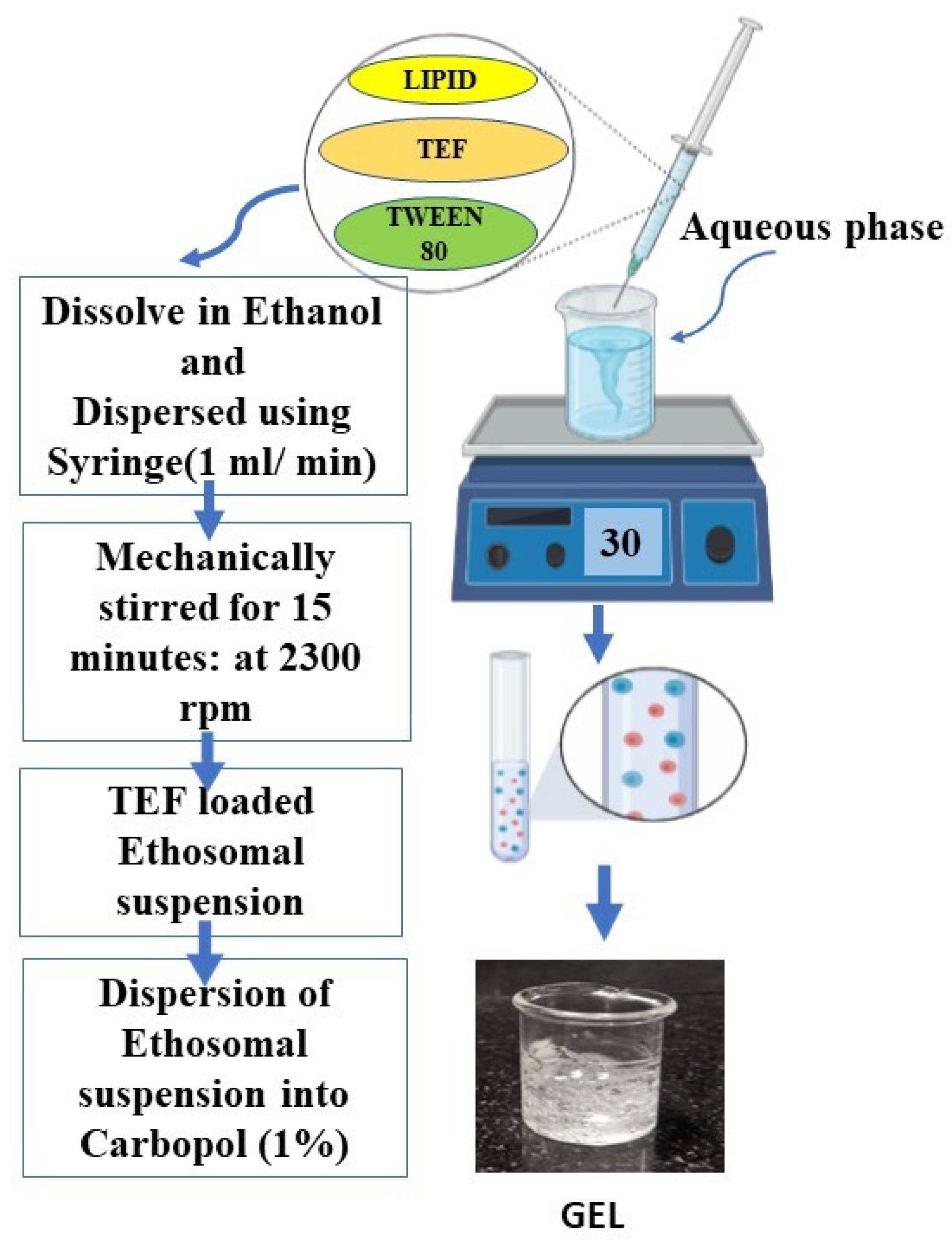 Pharmaceutics 15 00465 g001 Pharmaceutics 15 00465 g001