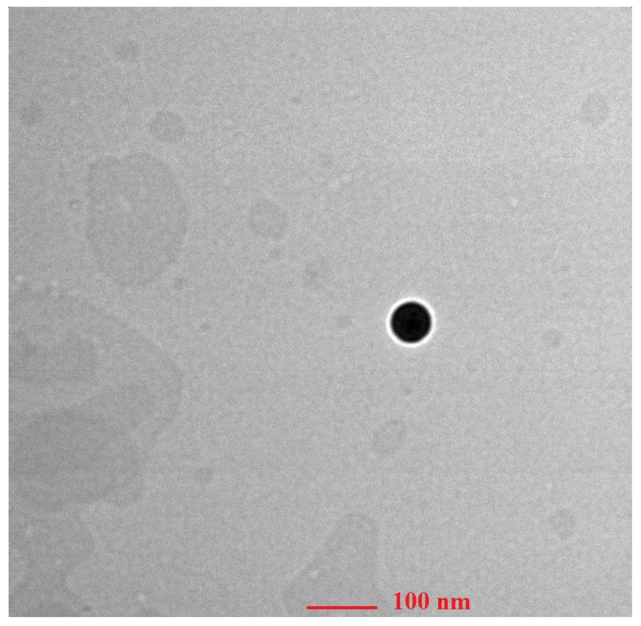 Pharmaceutics 15 00465 g005 Pharmaceutics 15 00465 g005