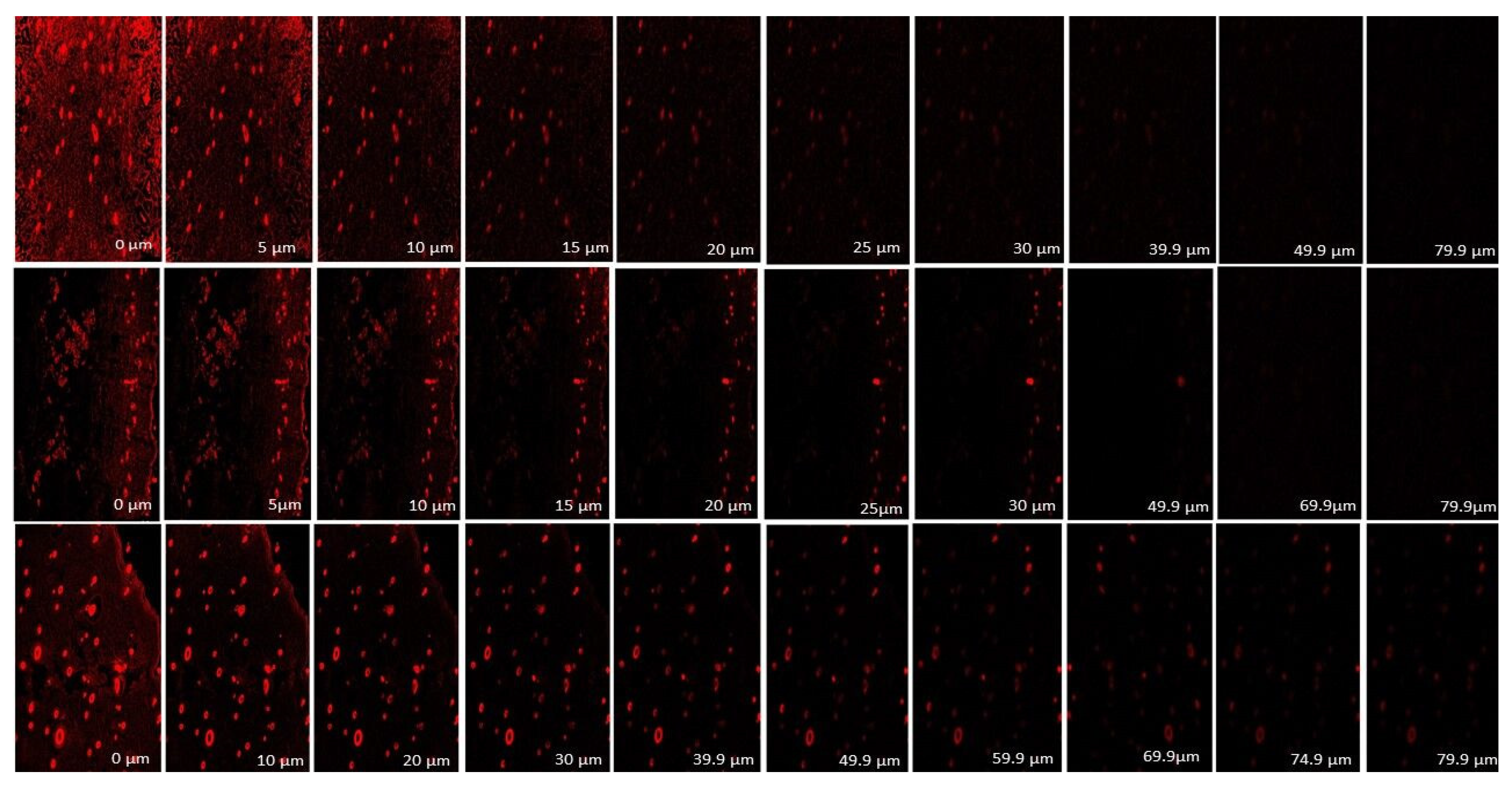 Pharmaceutics 15 00465 g013 Pharmaceutics 15 00465 g013