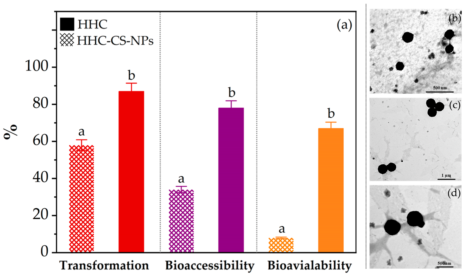Pharmaceutics 15 00472 g005 Pharmaceutics 15 00472 g005