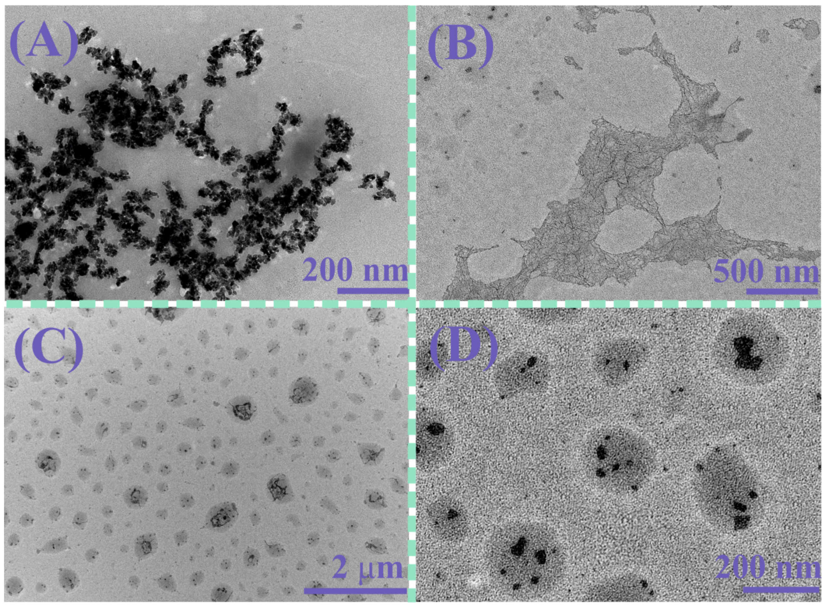 Pharmaceutics 15 00476 g004
