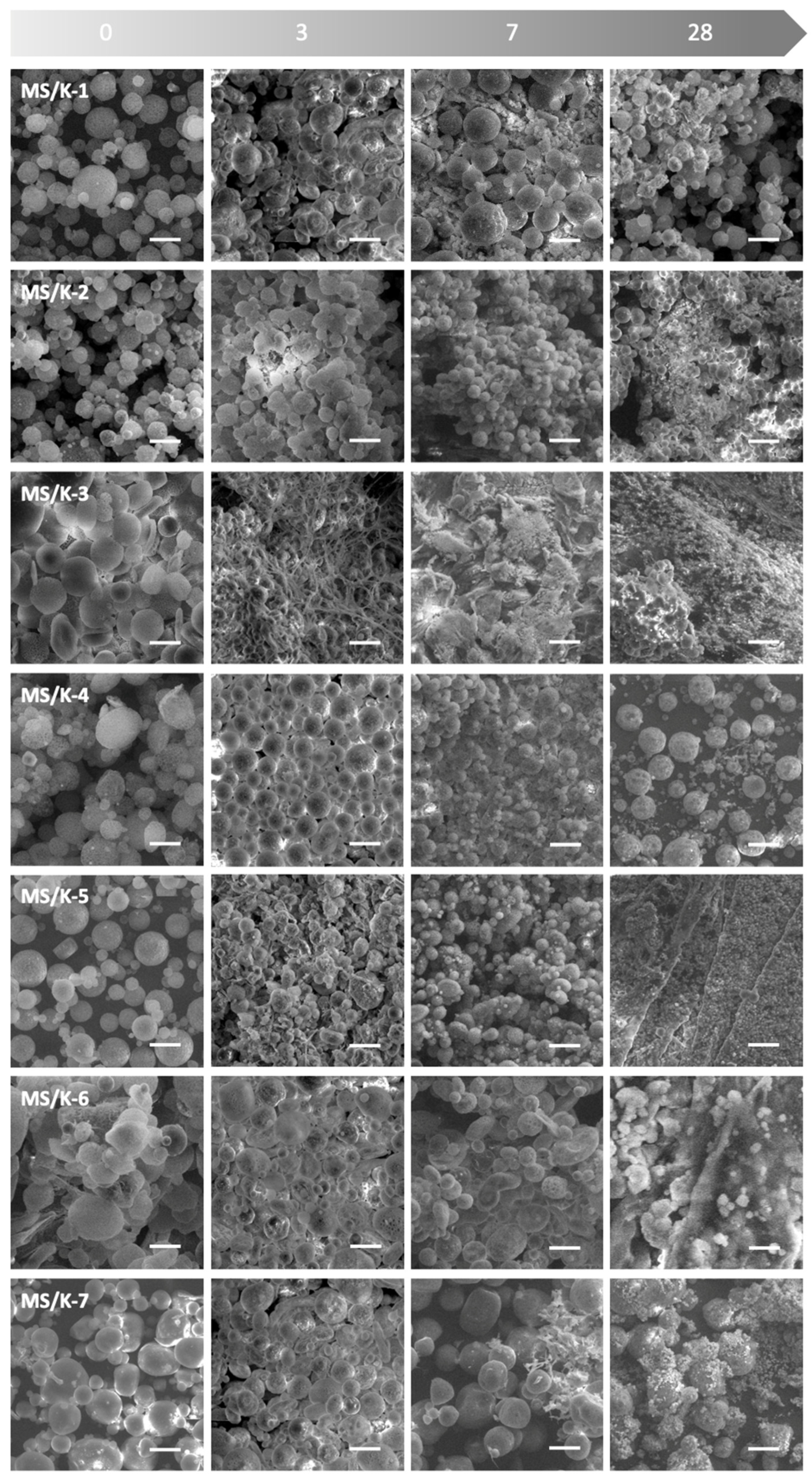 Pharmaceutics 15 00479 g007