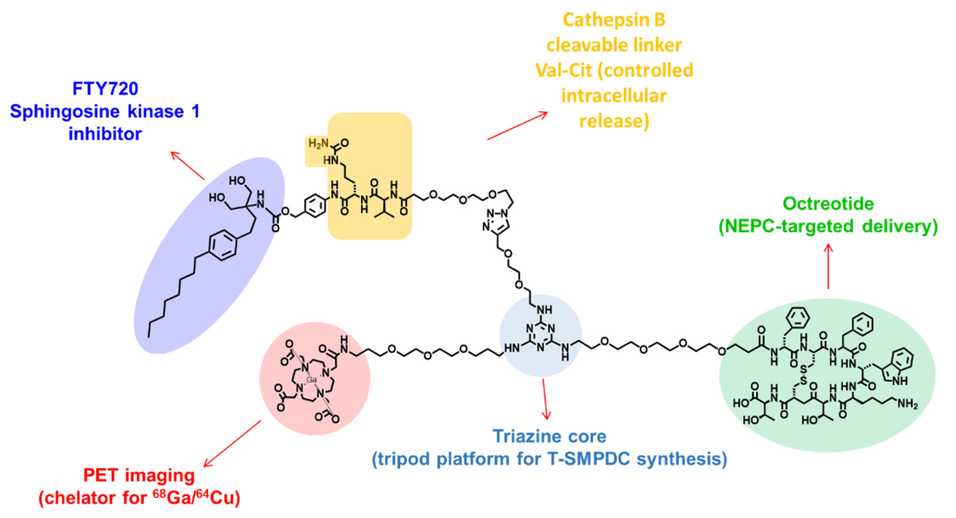 Pharmaceutics 15 00481 g001 Pharmaceutics 15 00481 g001
