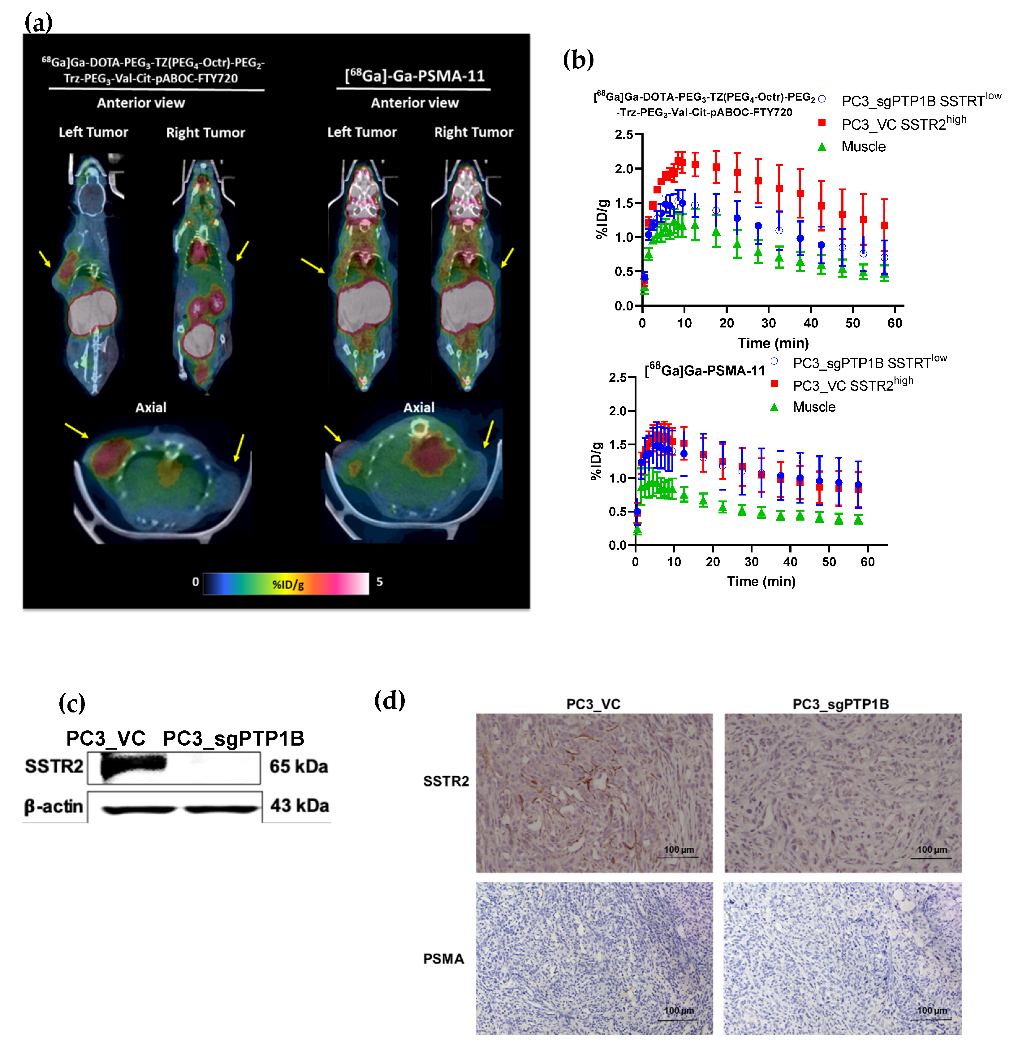 Pharmaceutics 15 00481 g004 Pharmaceutics 15 00481 g004