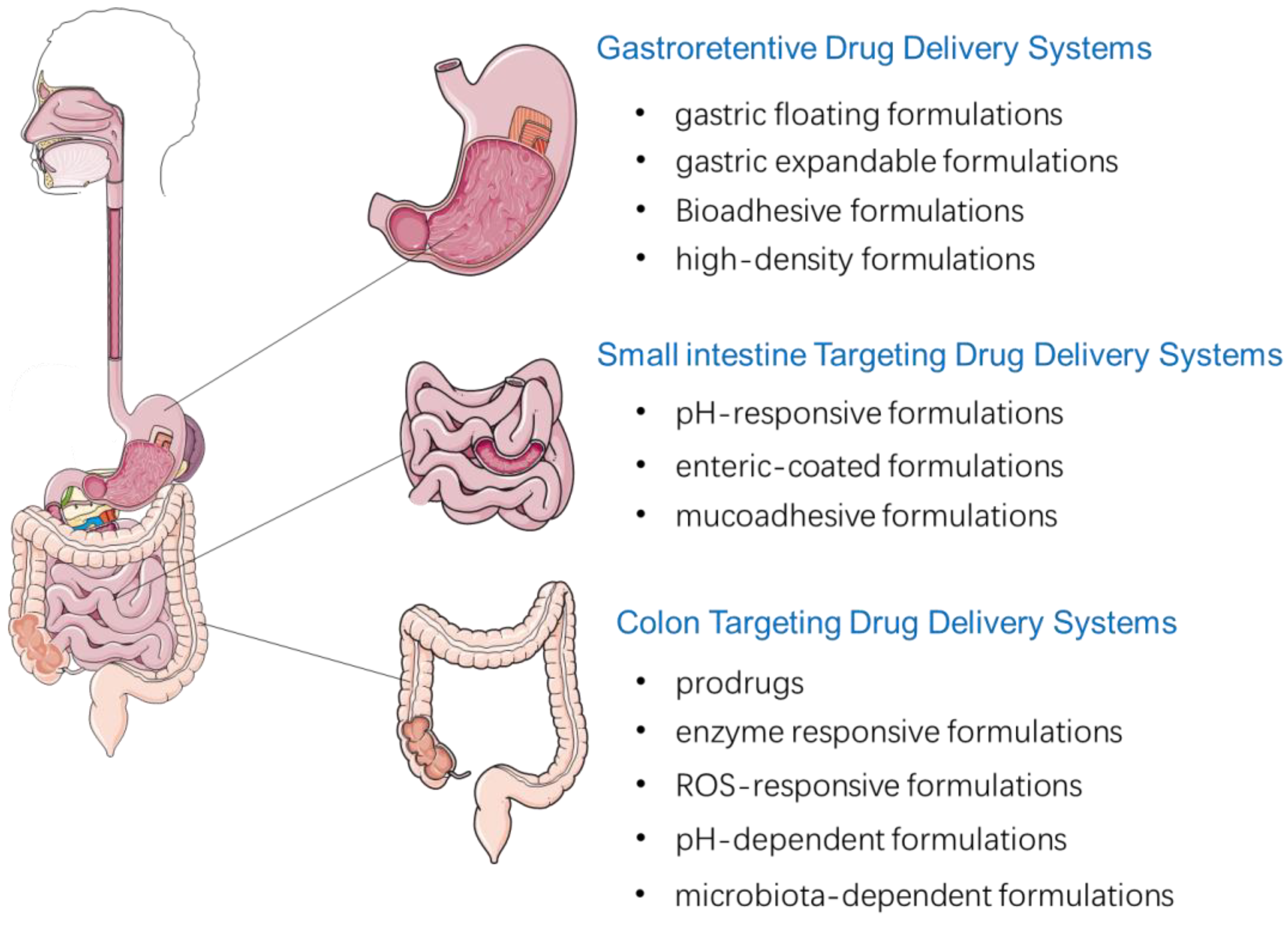 Pharmaceutics 15 00484 g001 Pharmaceutics 15 00484 g001