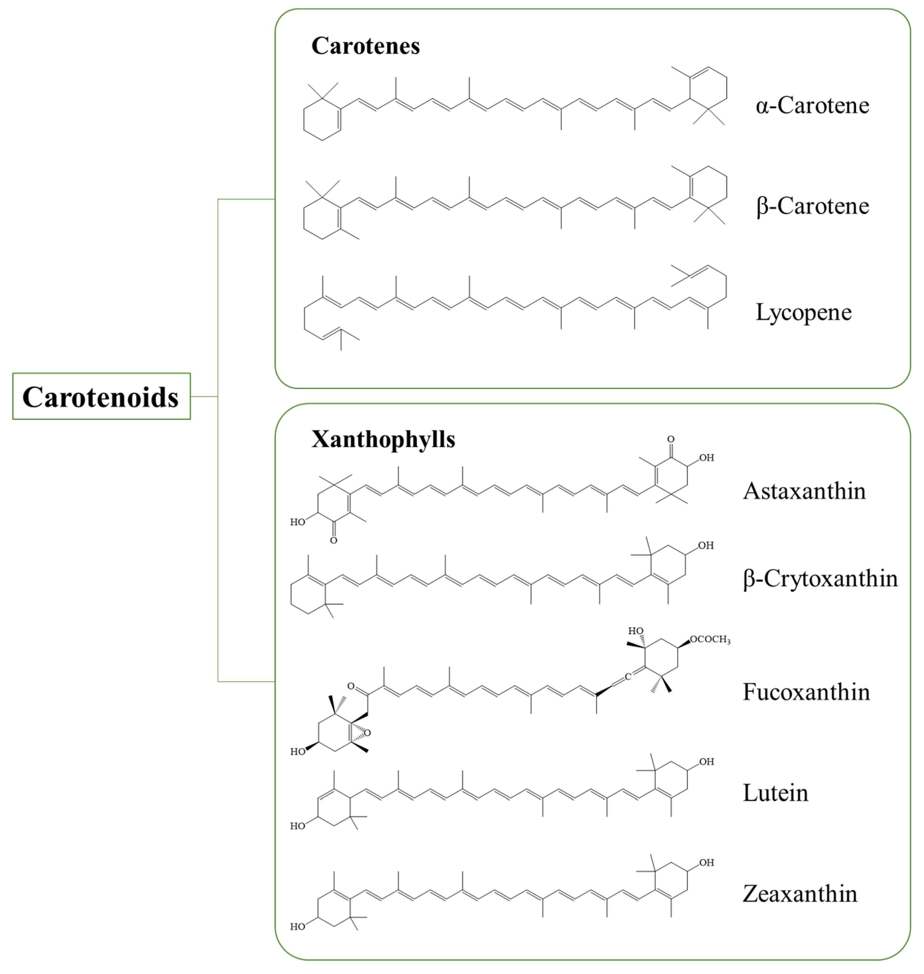 Pharmaceutics 15 00485 g001