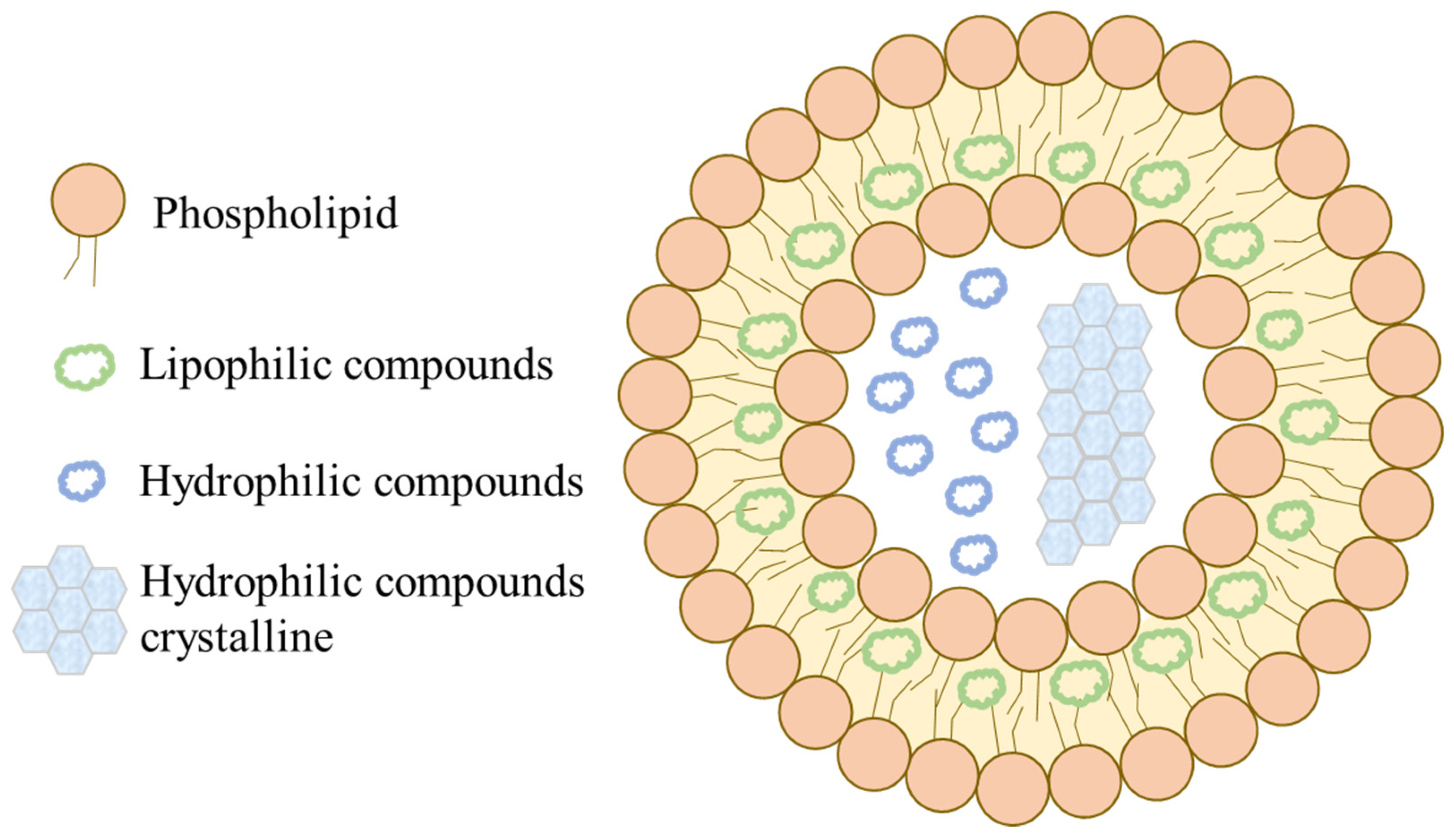 Pharmaceutics 15 00485 g014