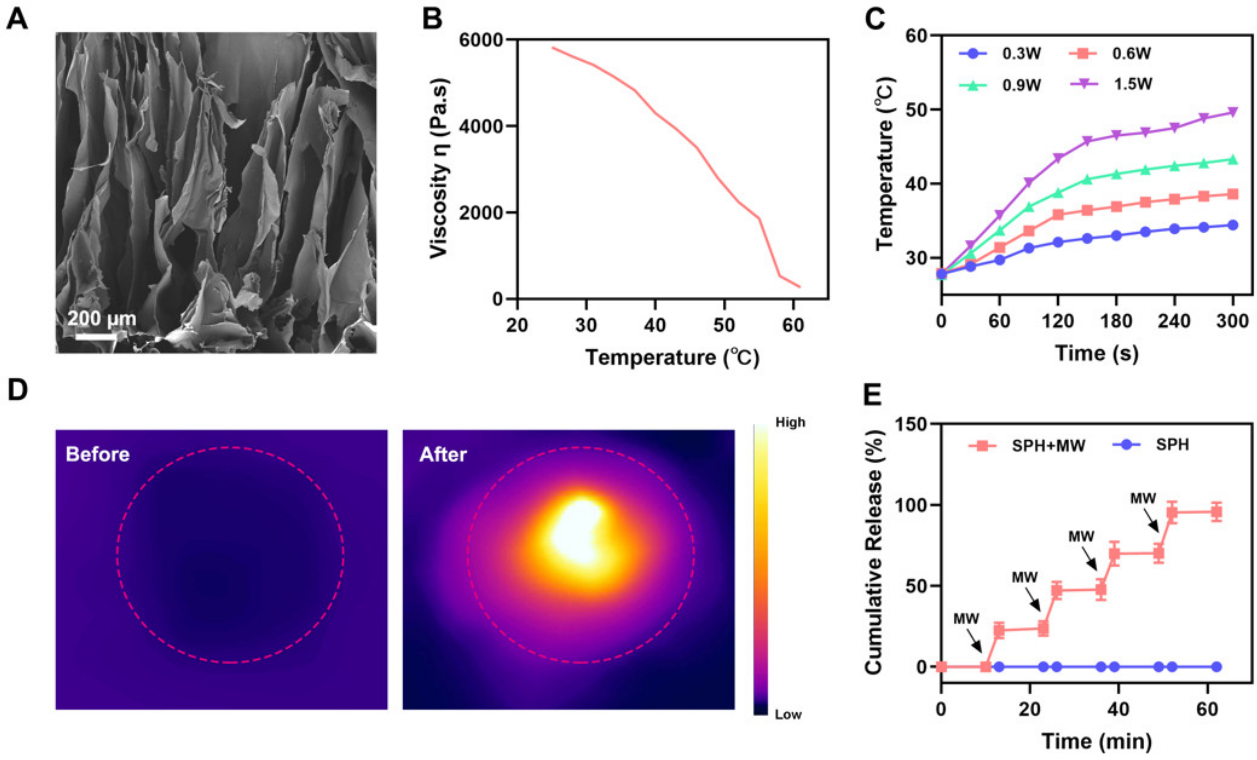 Pharmaceutics 15 00487 g002