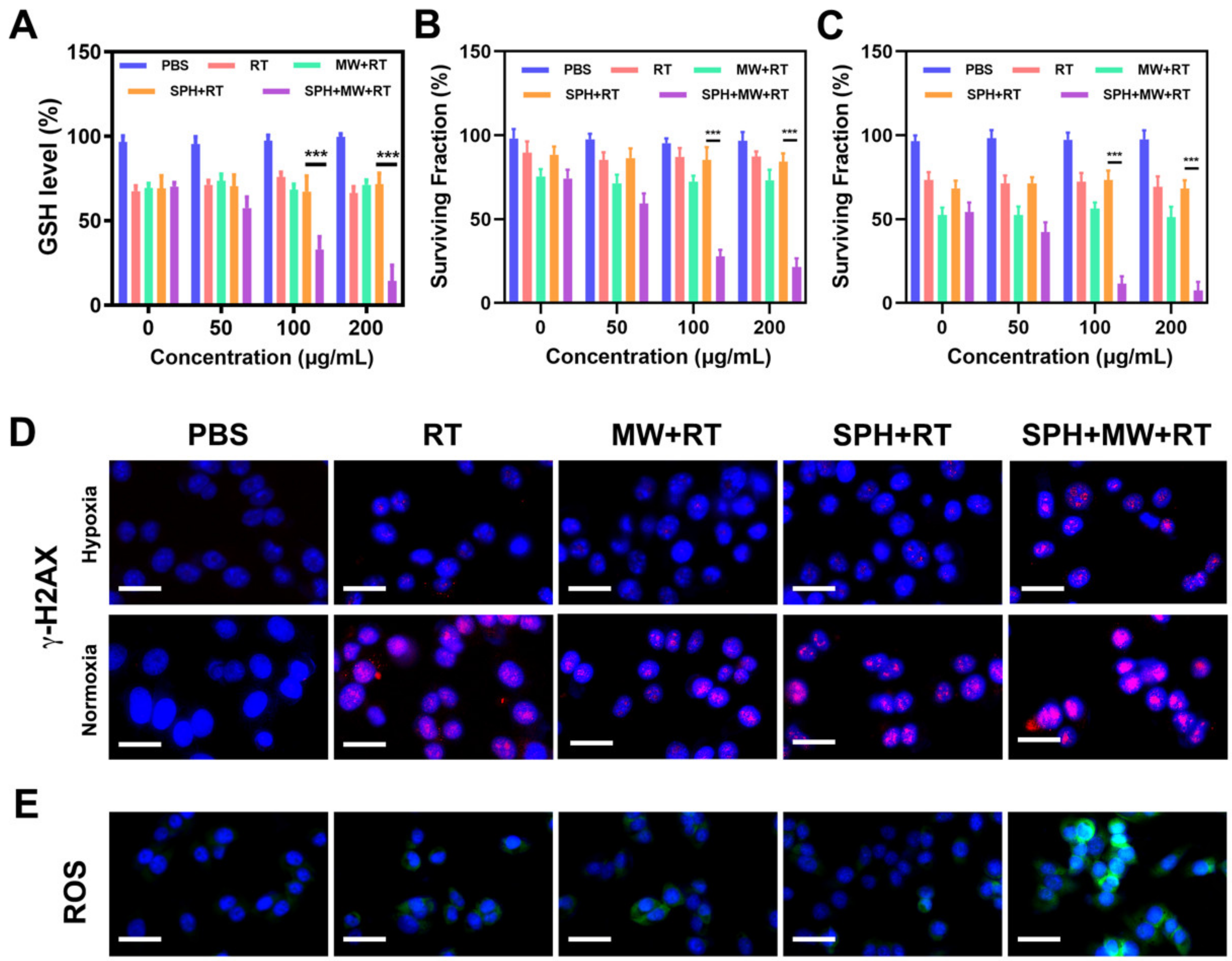 Pharmaceutics 15 00487 g003